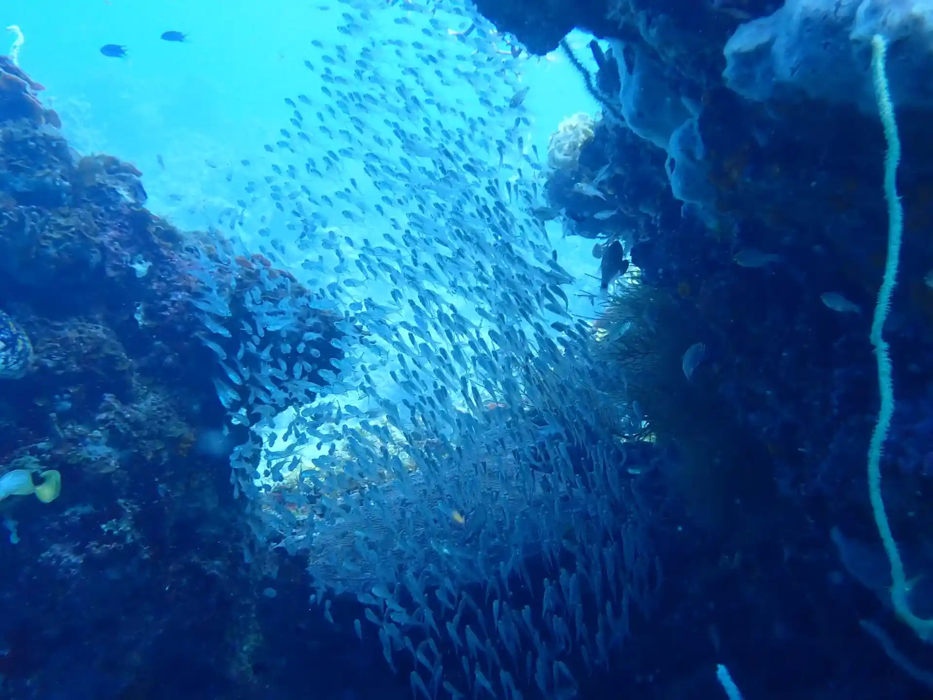 Dive site photo