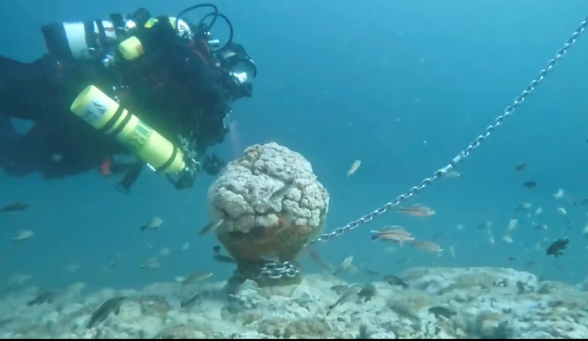 다이빙 포인트 사진