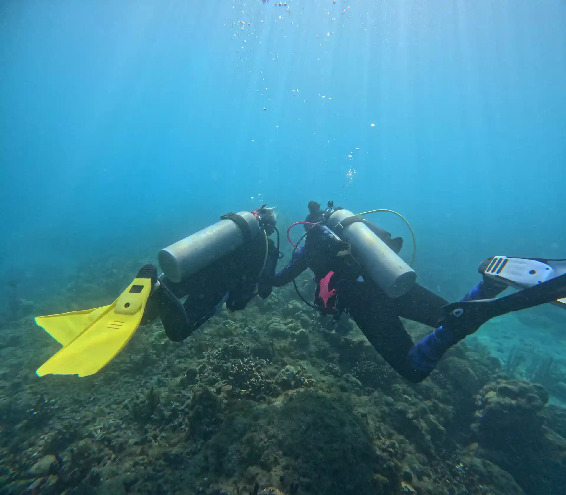 Dive shop photo