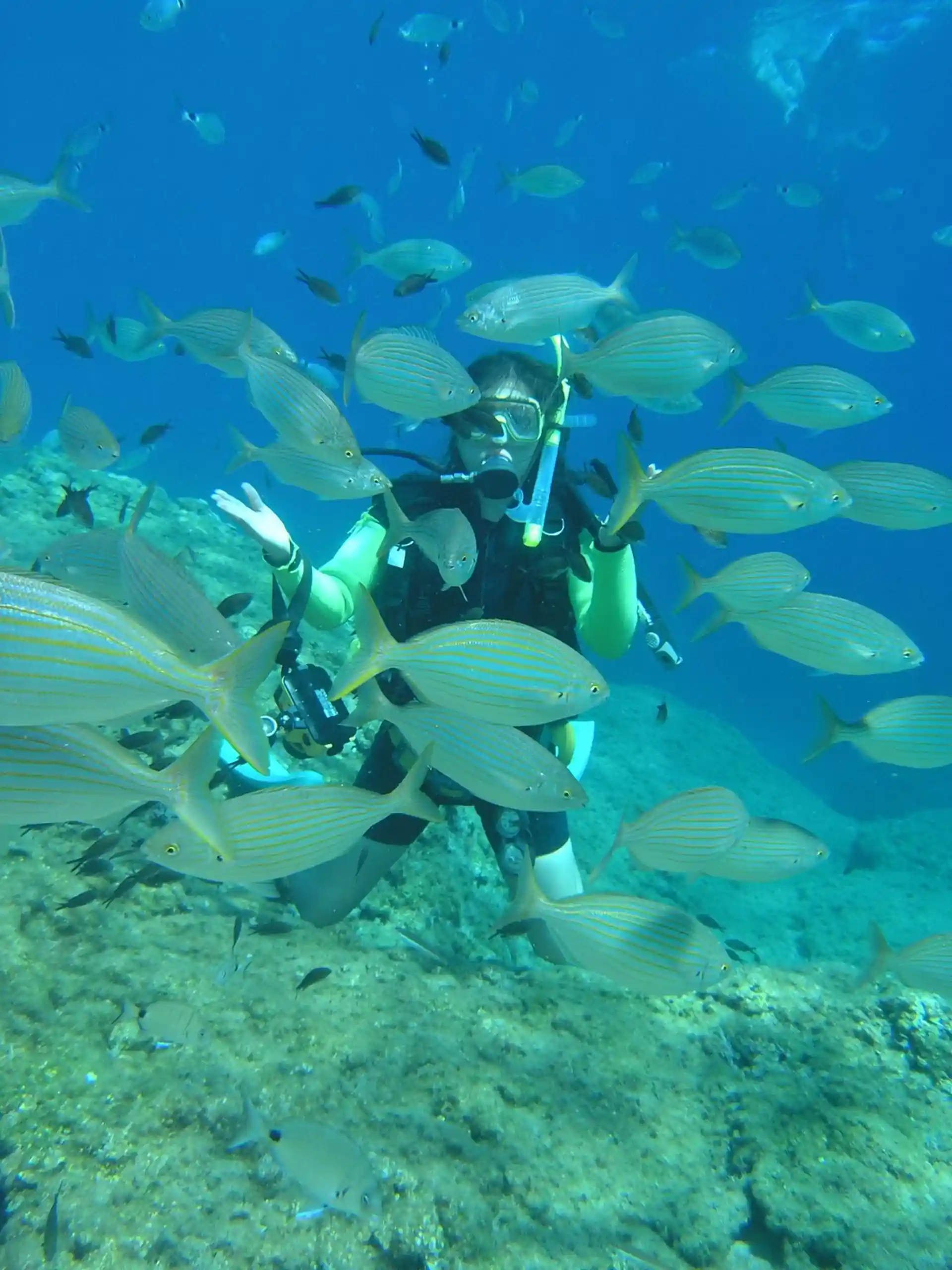 Dive shop photo