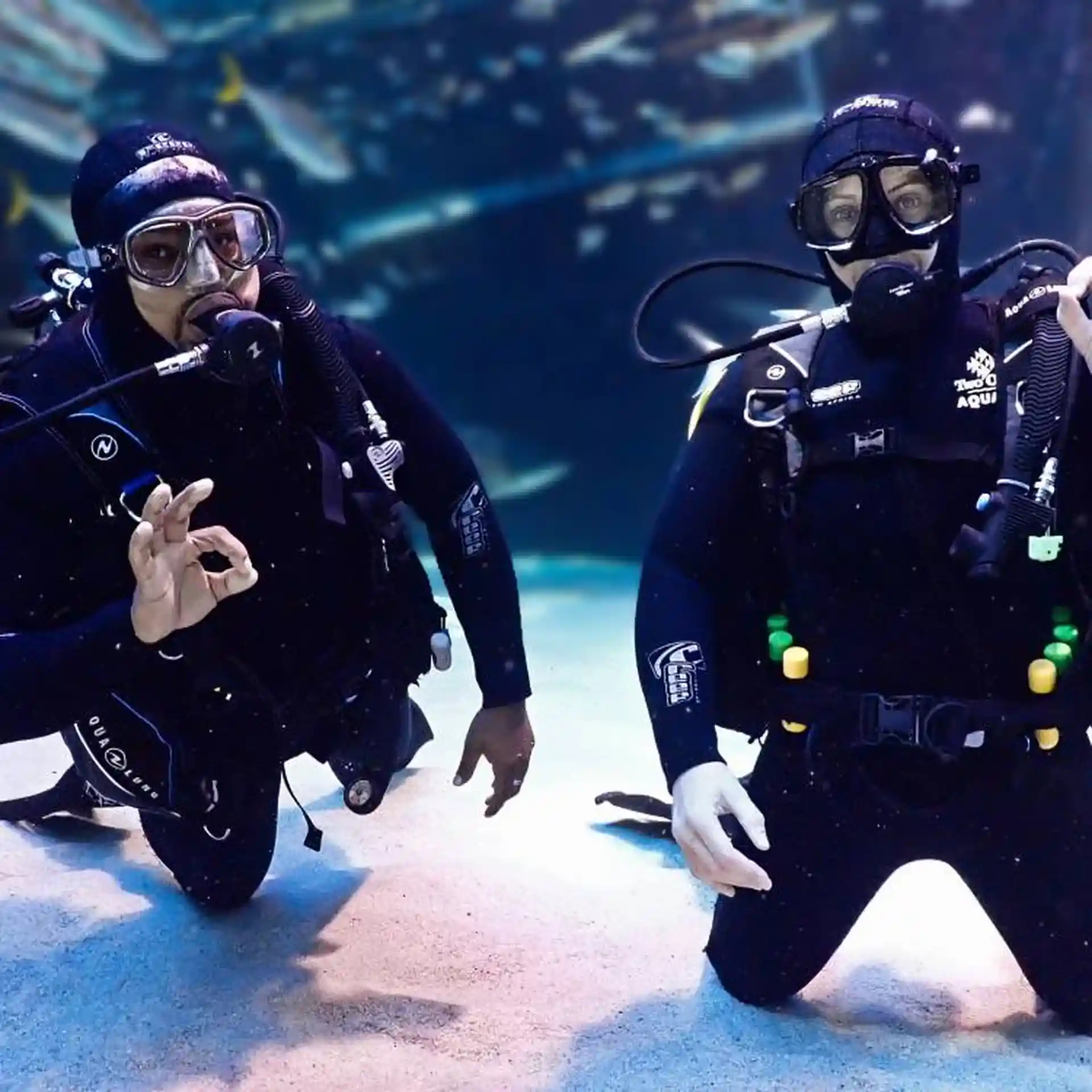 Foto des Tauchplatzes