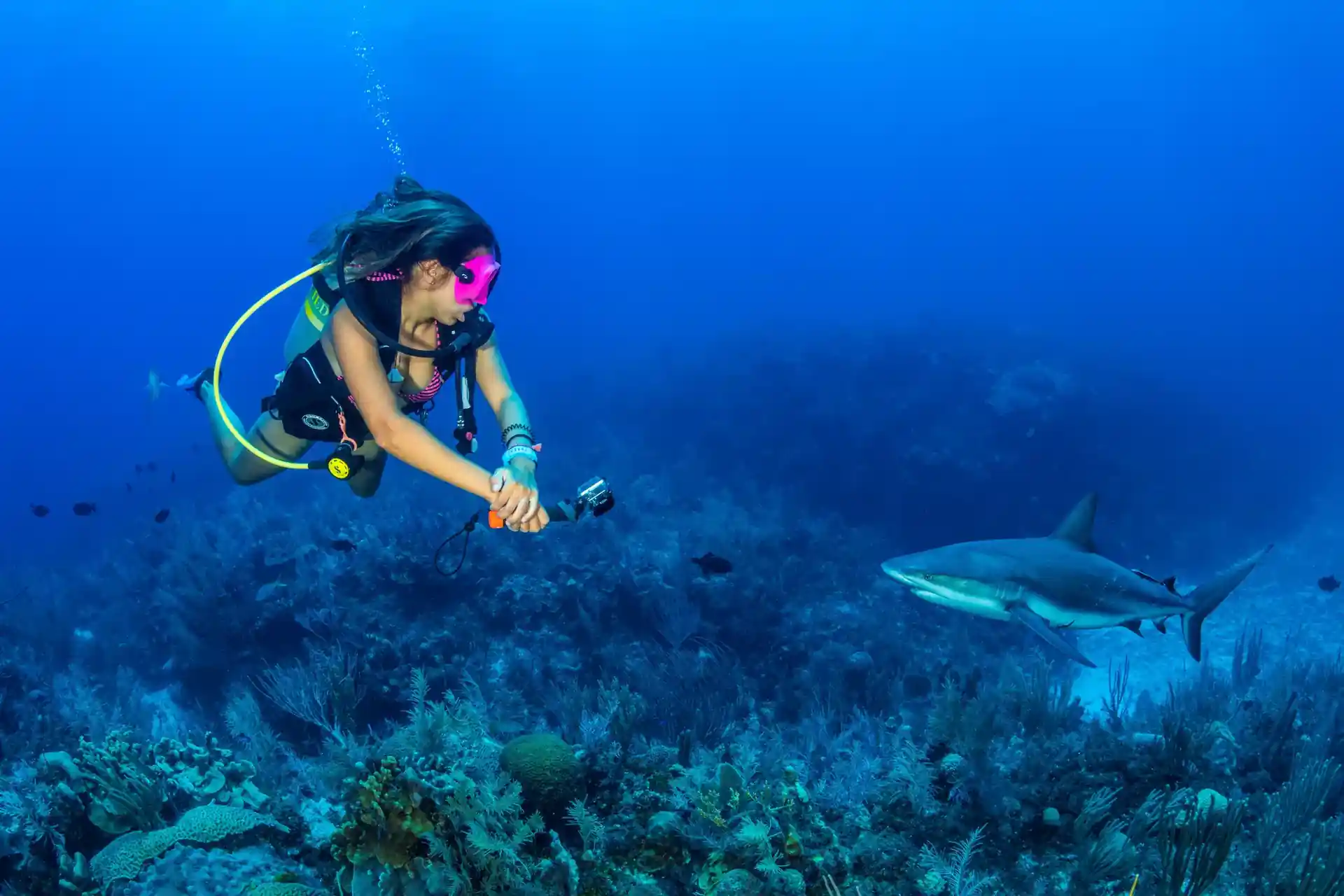Dive site photo