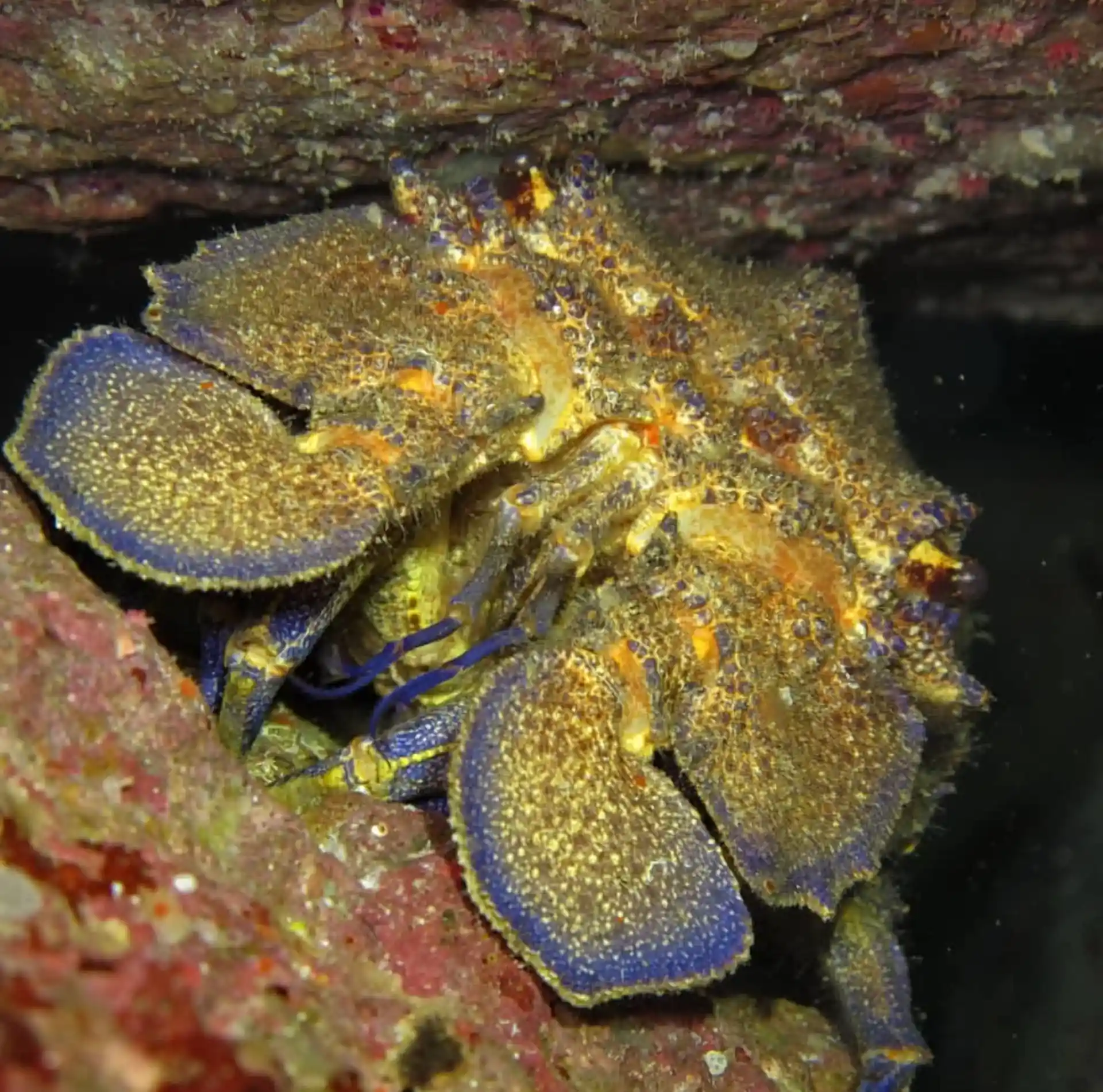 Dive site photo