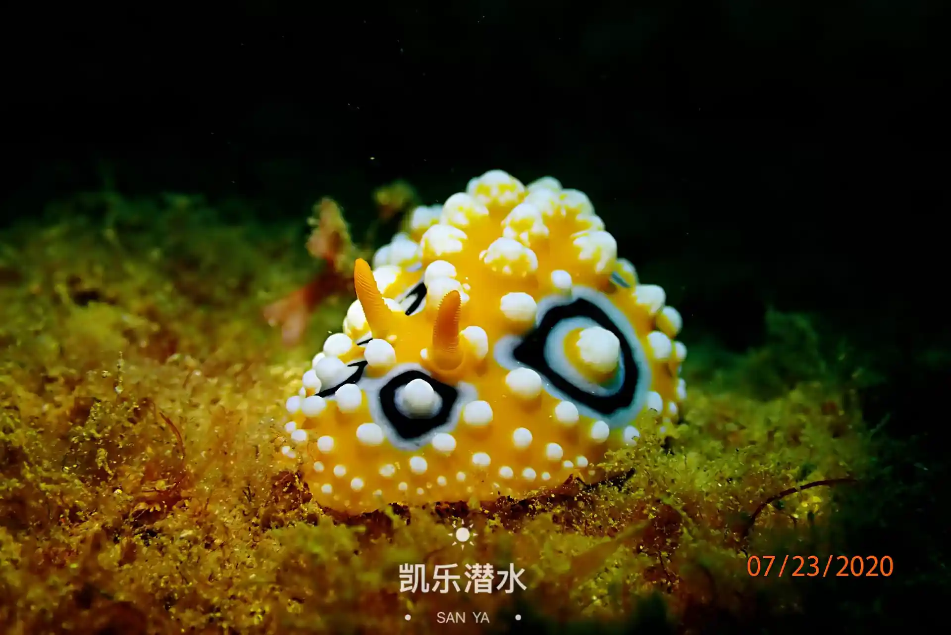 潜水点图片