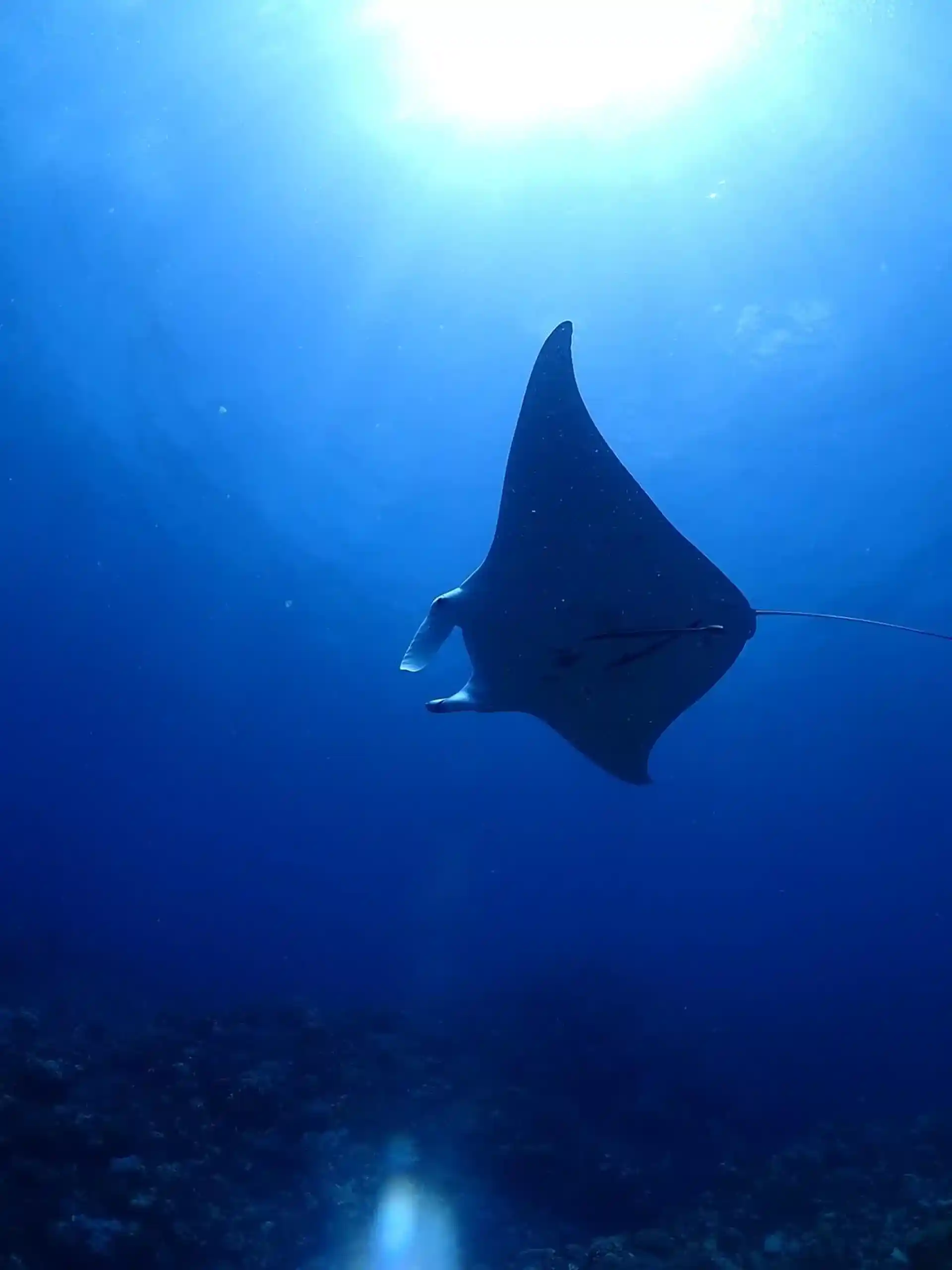 Dive shop photo