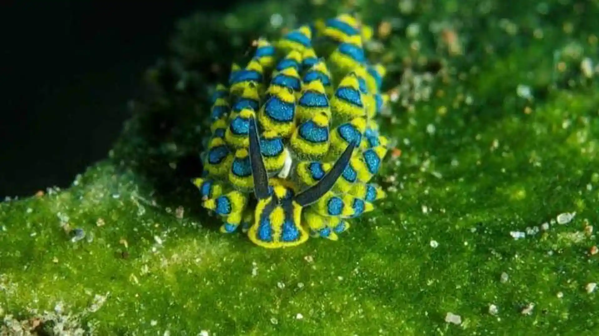 Dive shop photo