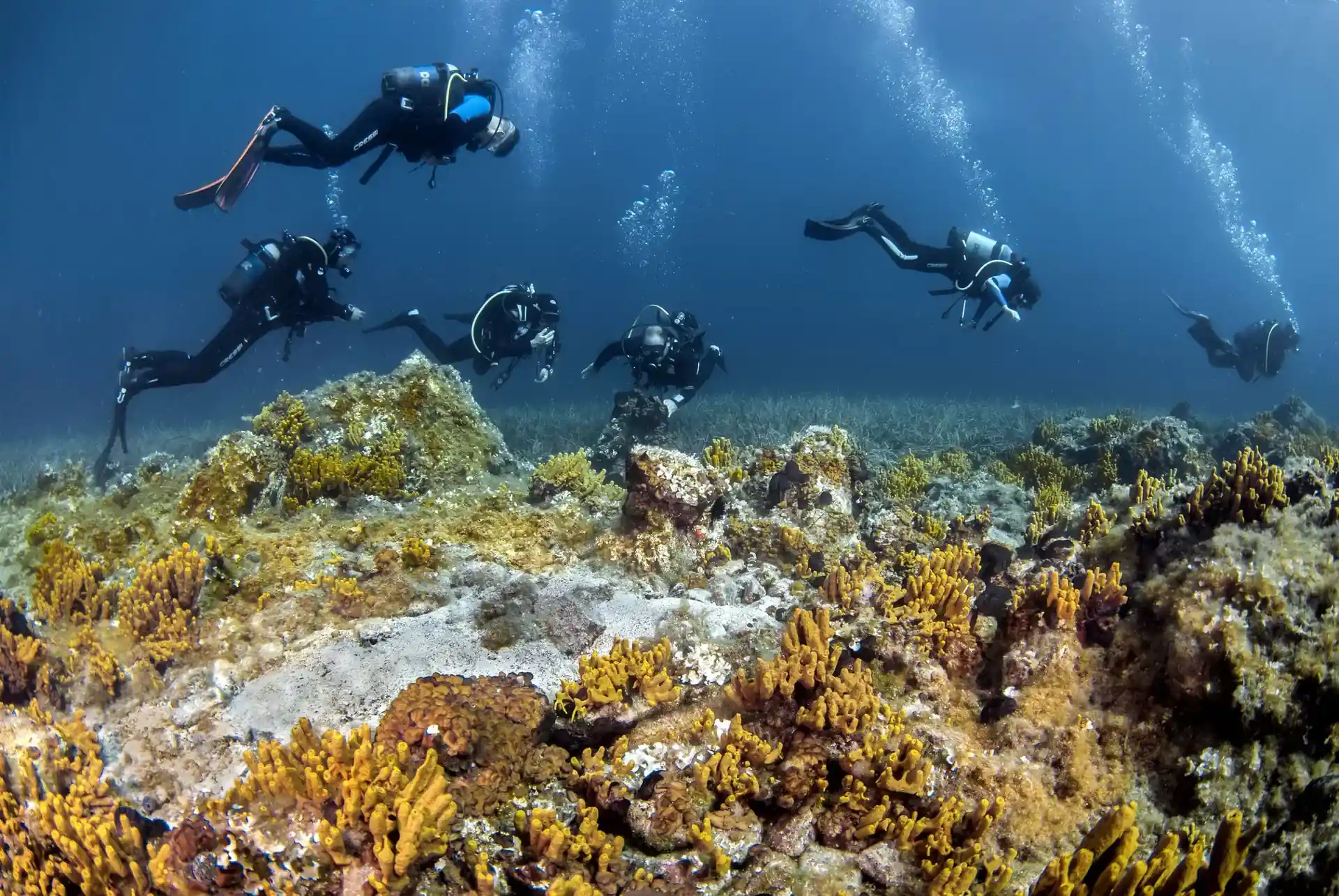 다이빙 포인트 사진