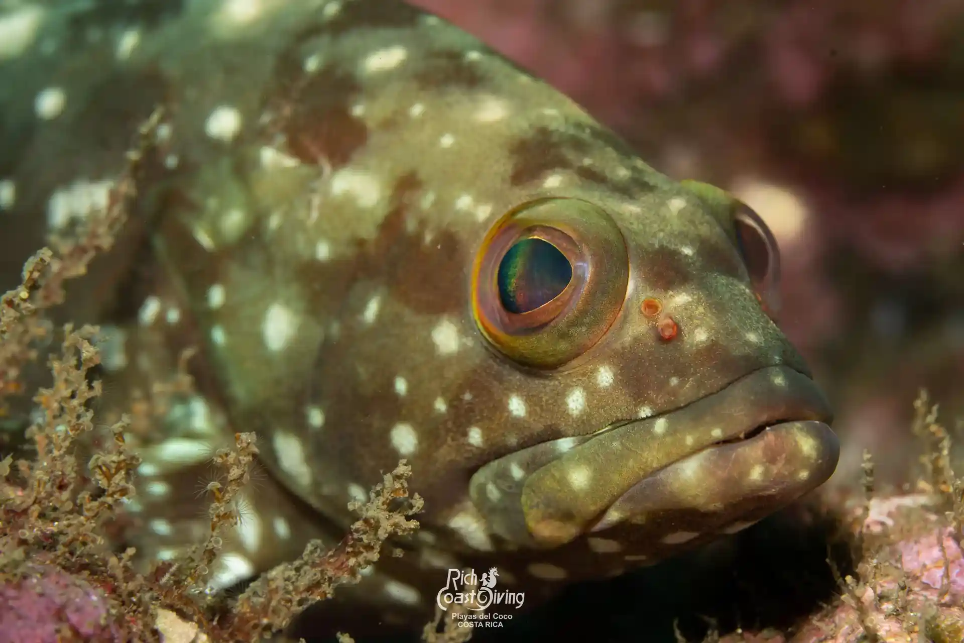 Dive site photo
