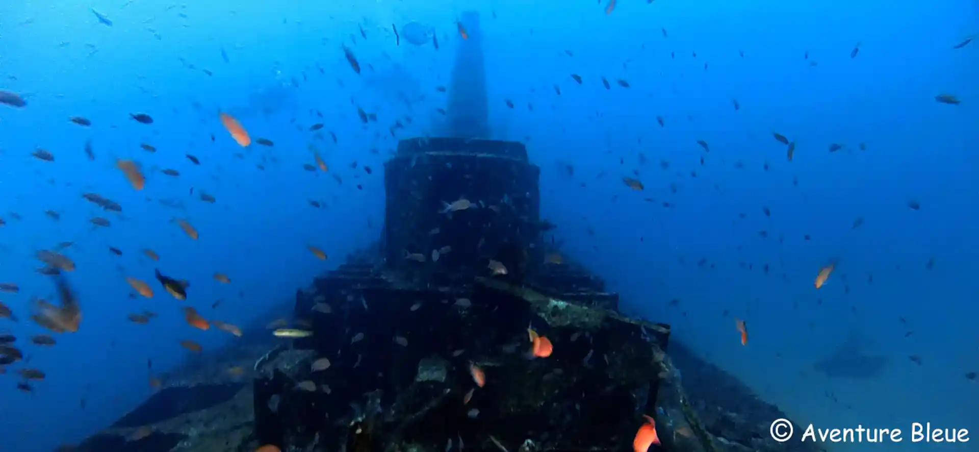 Foto van de duiklocatie