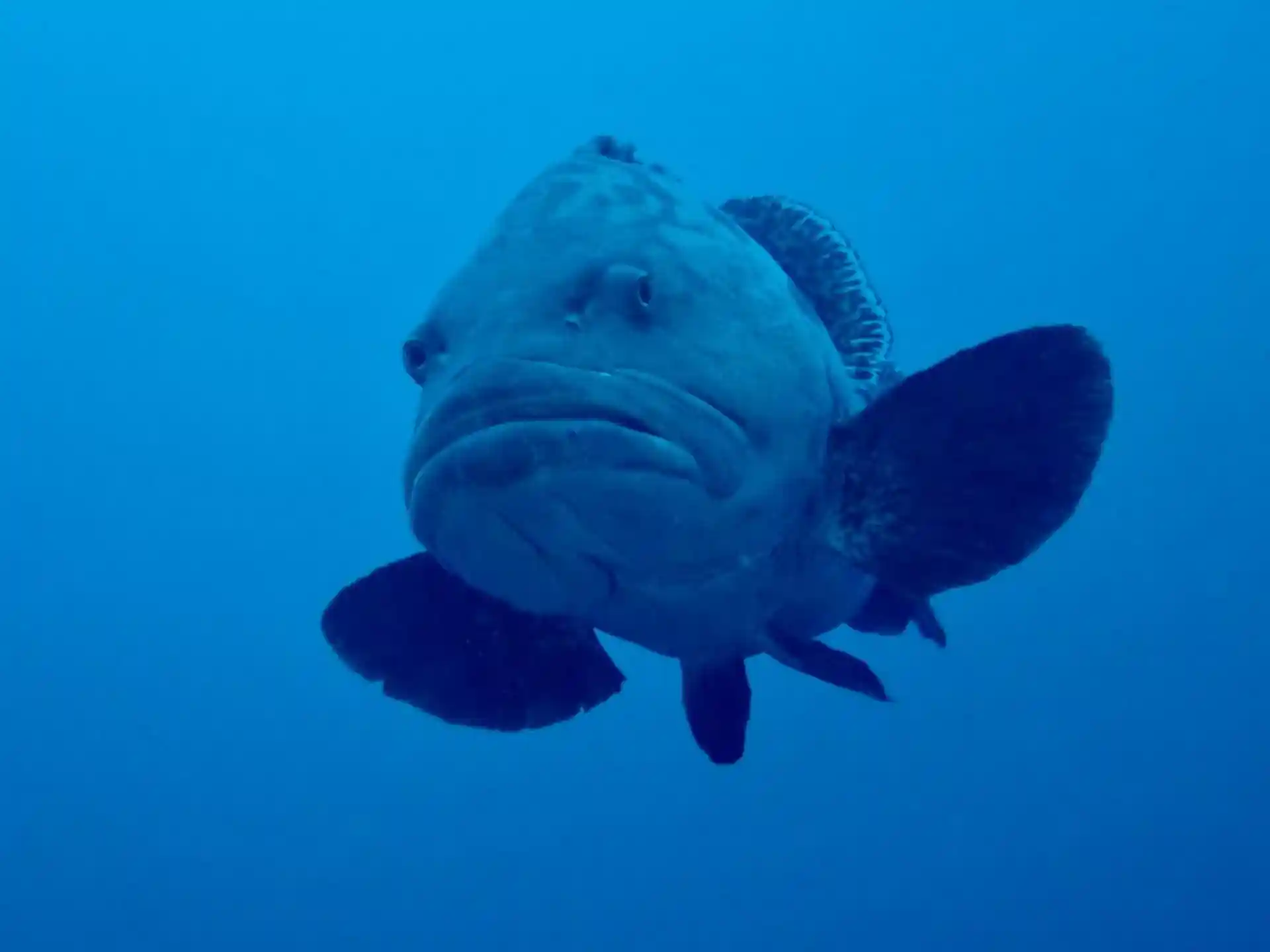 Dive site photo