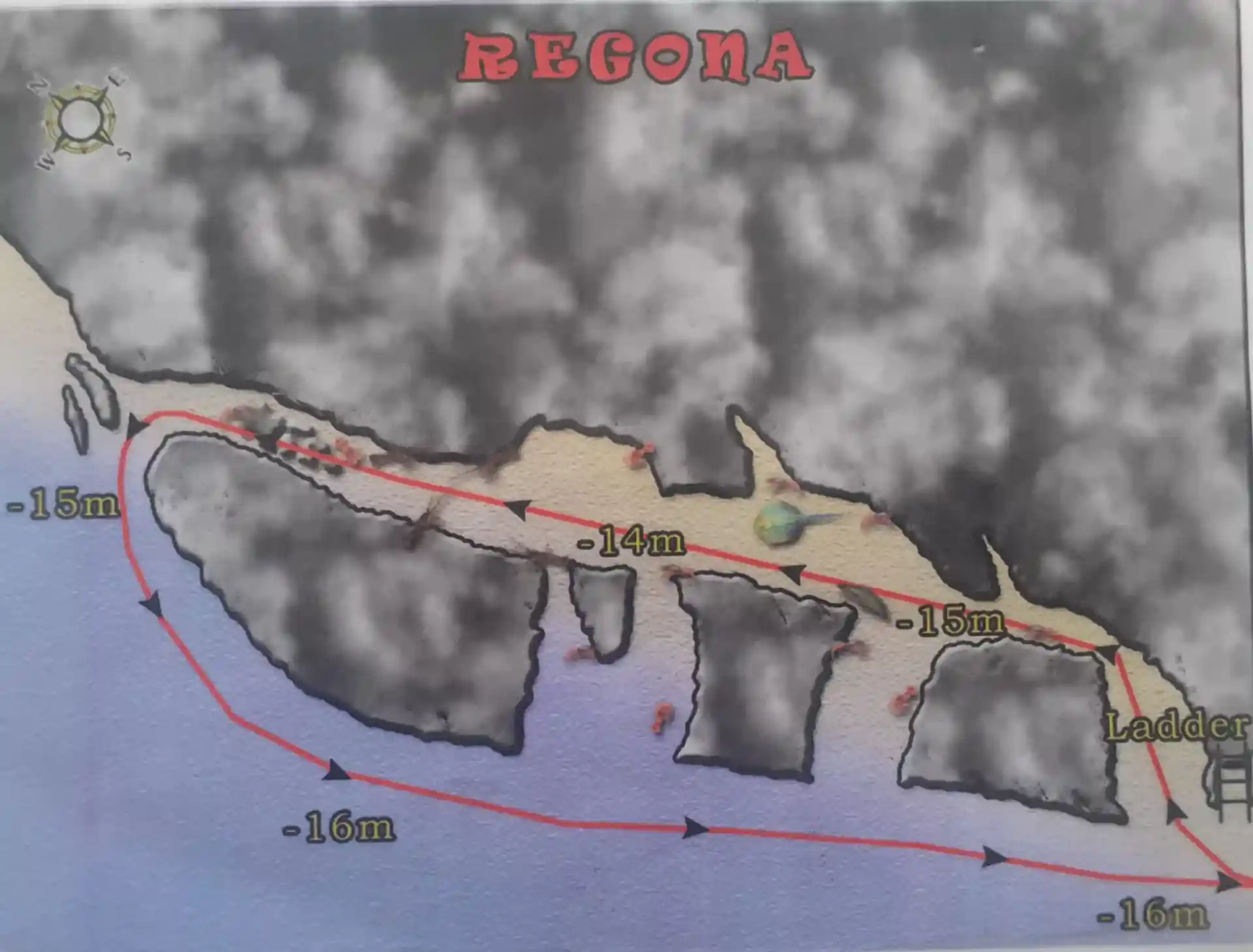 다이빙 포인트 사진