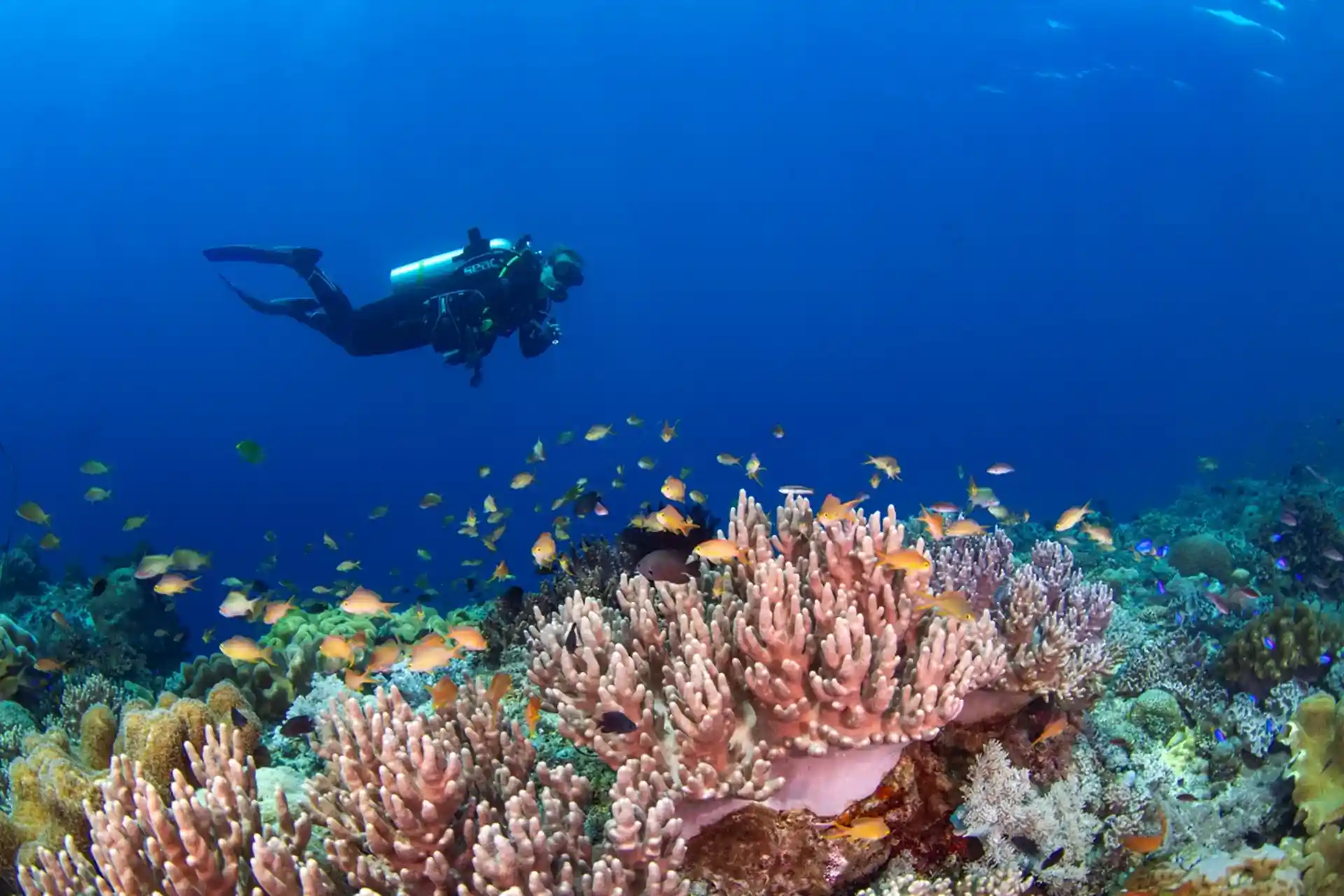 Dive site photo