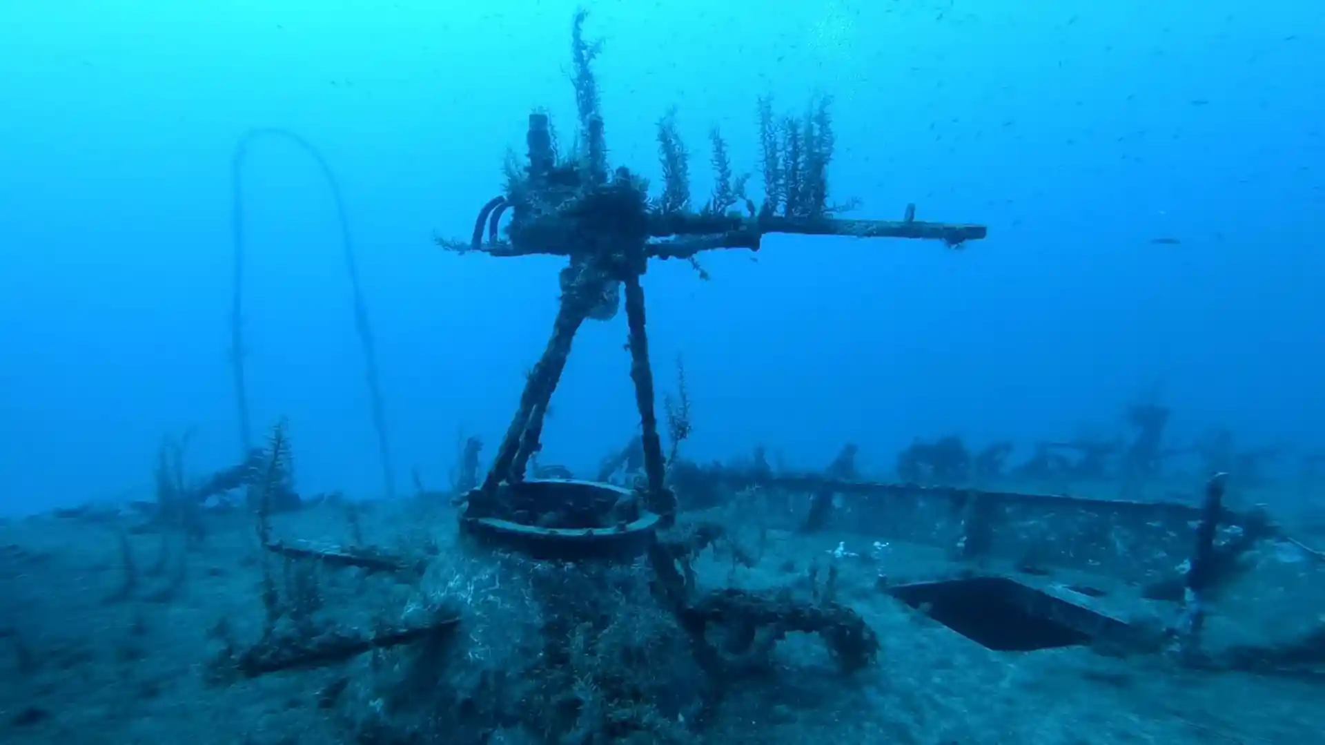 Dive site photo