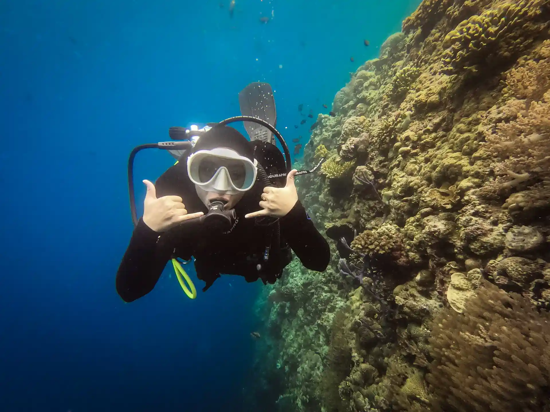Get closer to the underwater life. Become a scuba diver!