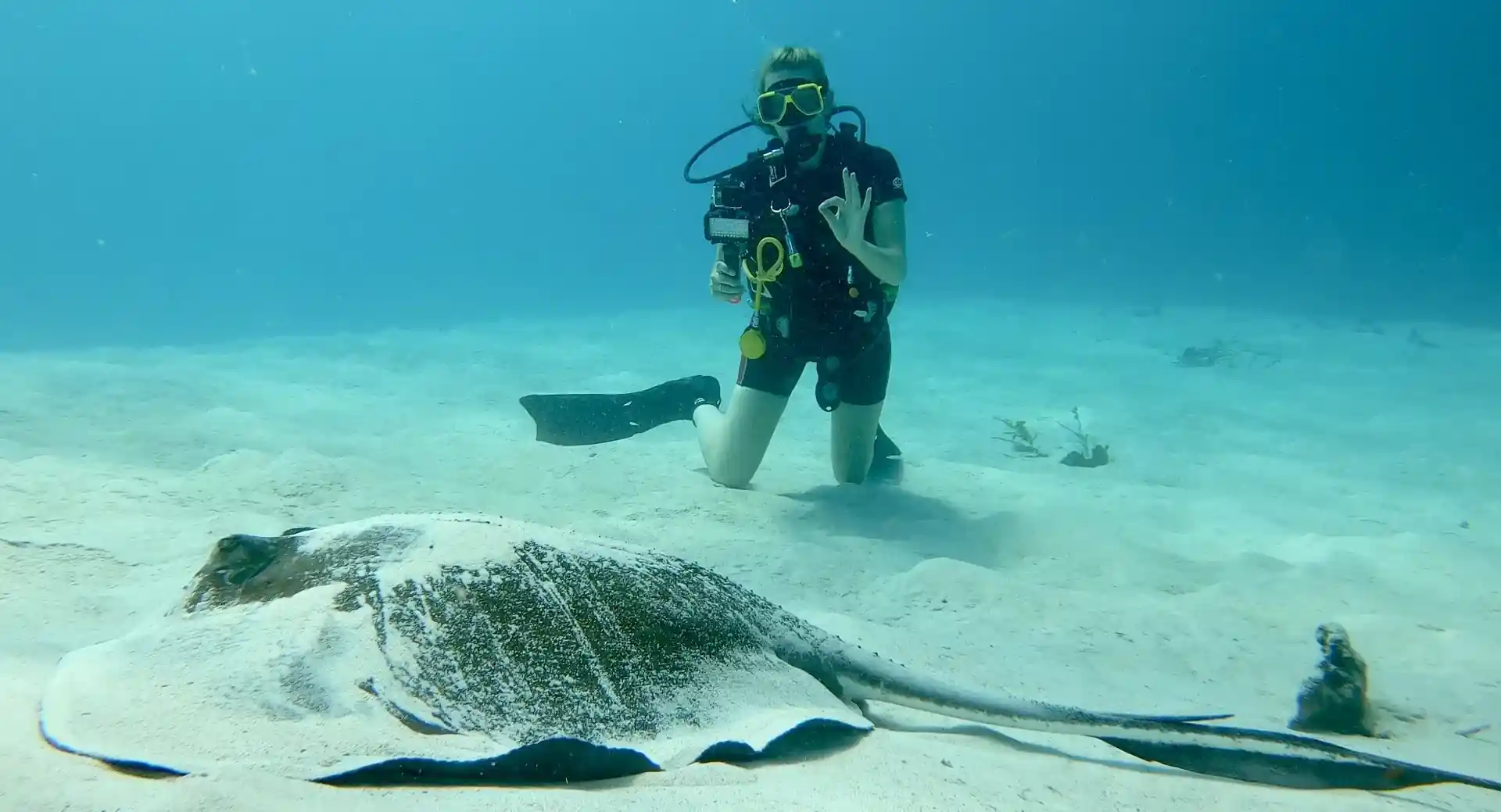 다이빙 포인트 사진