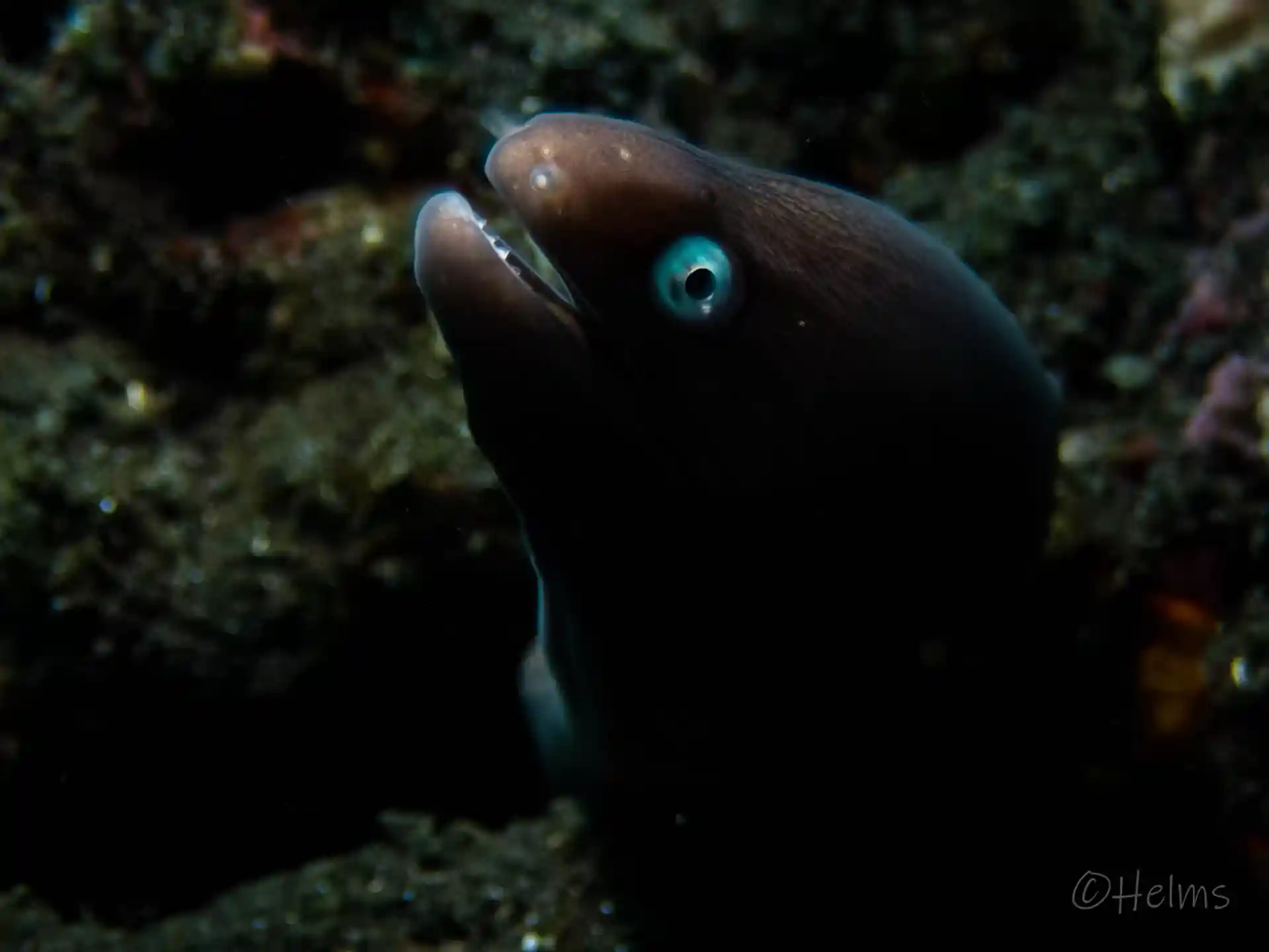 Dive shop photo