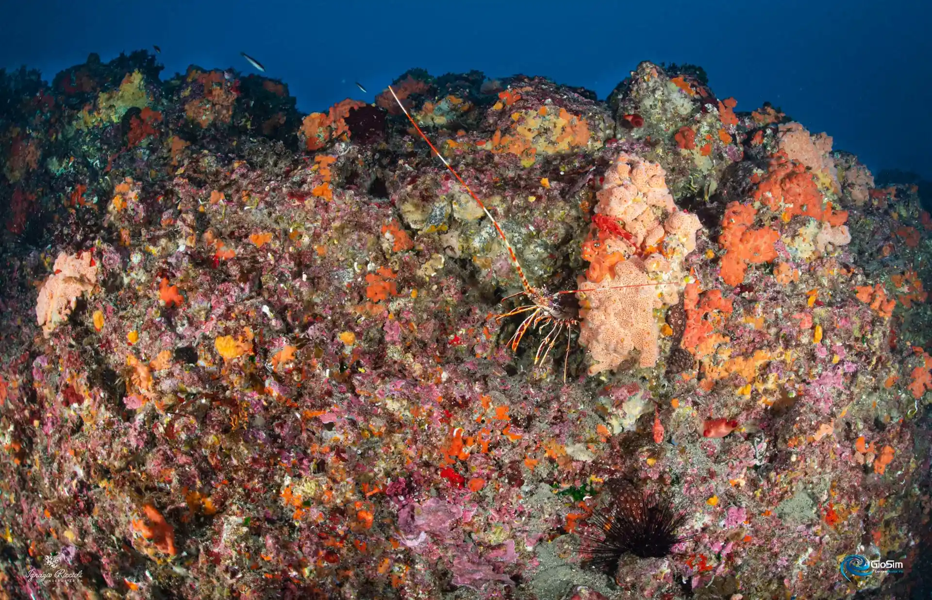 Foto del sitio de buceo