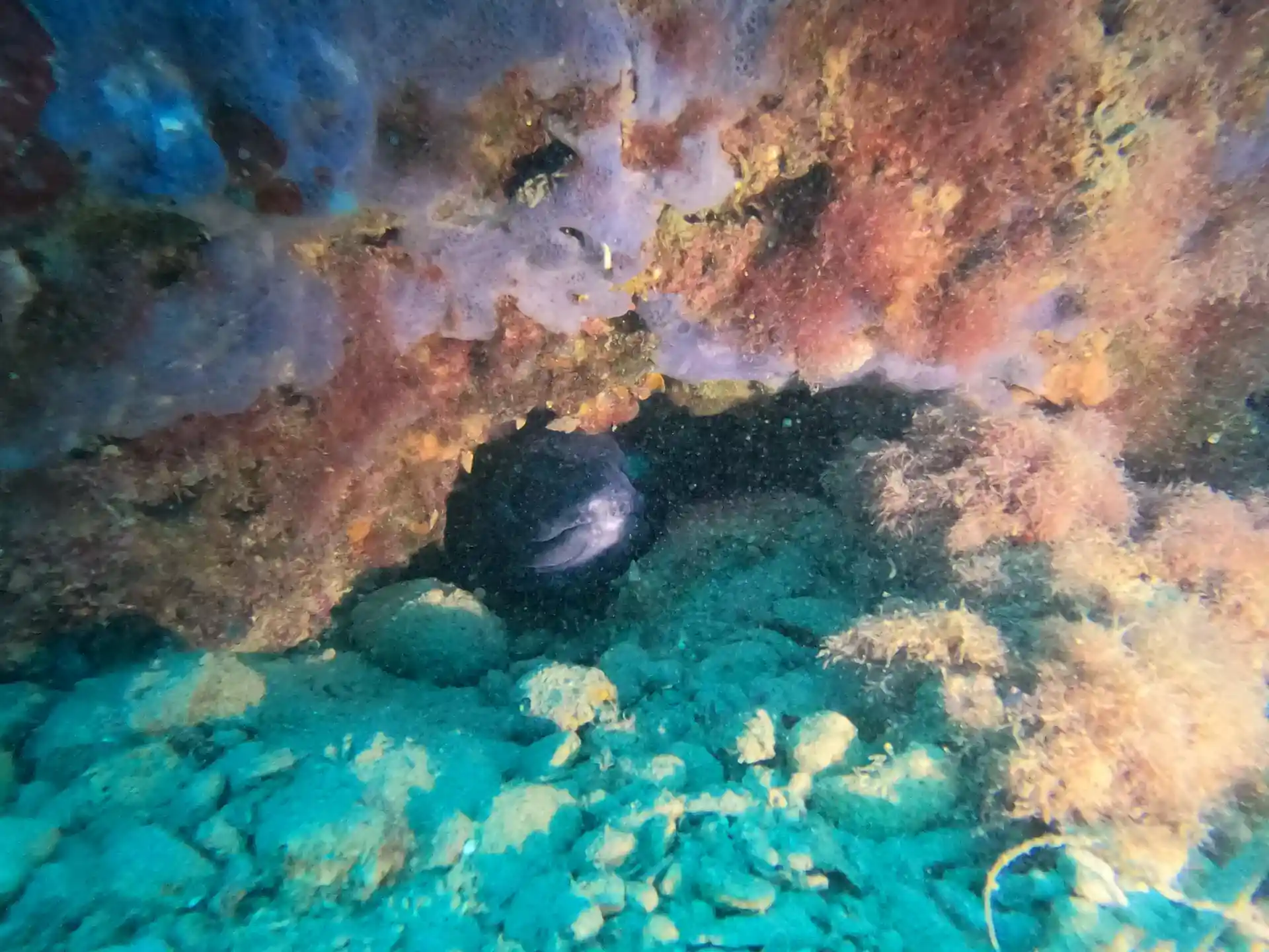 Foto des Tauchplatzes