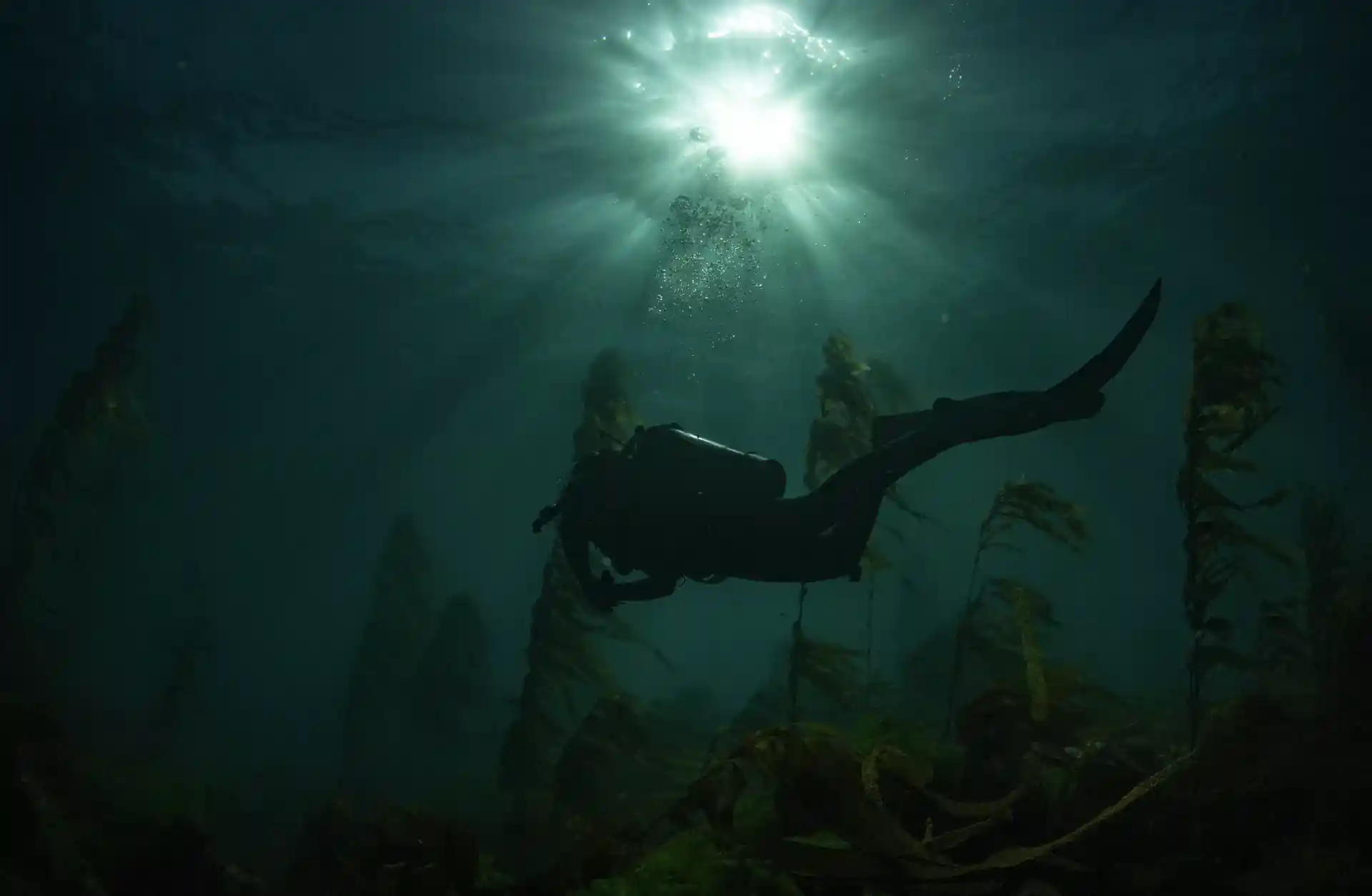Dive site photo