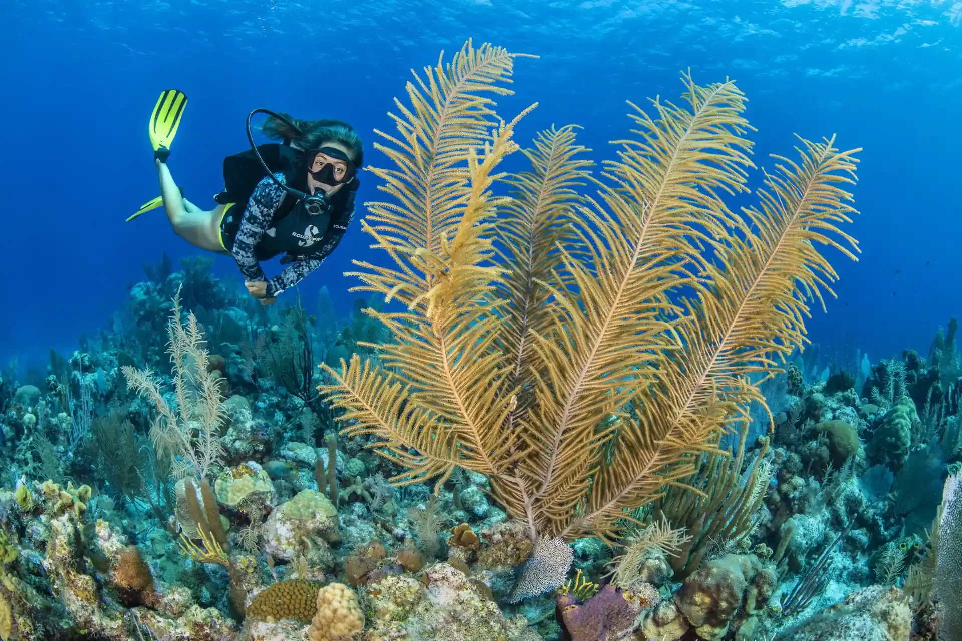 Dive site photo