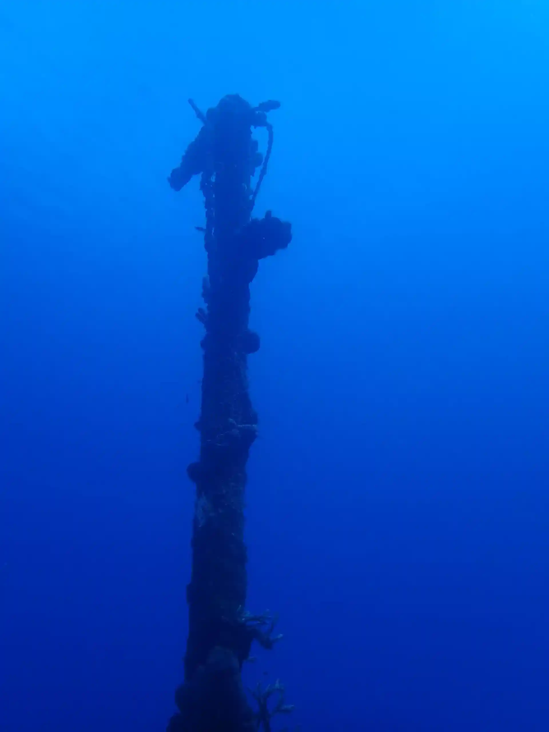 Dive site photo