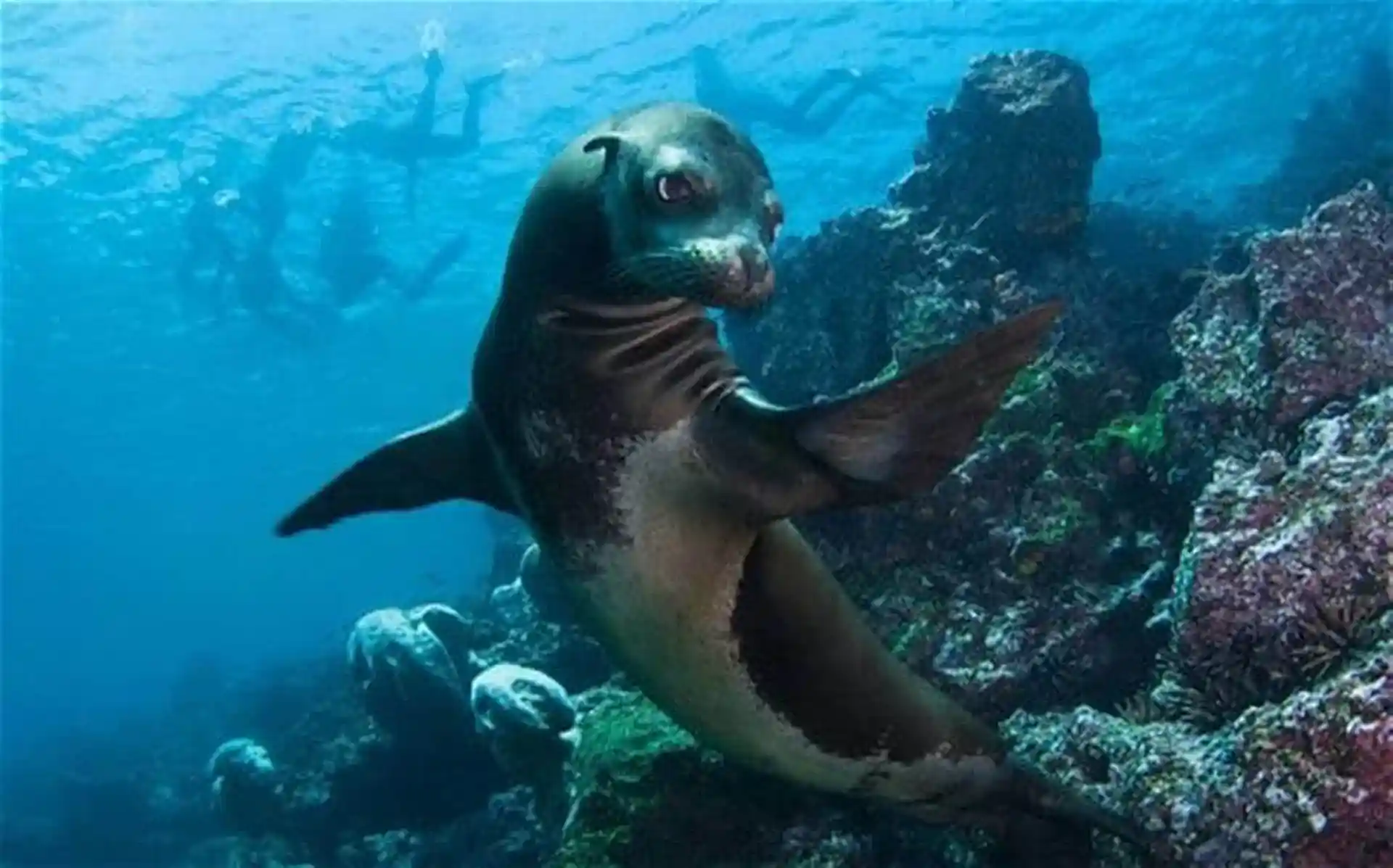 Dive shop photo