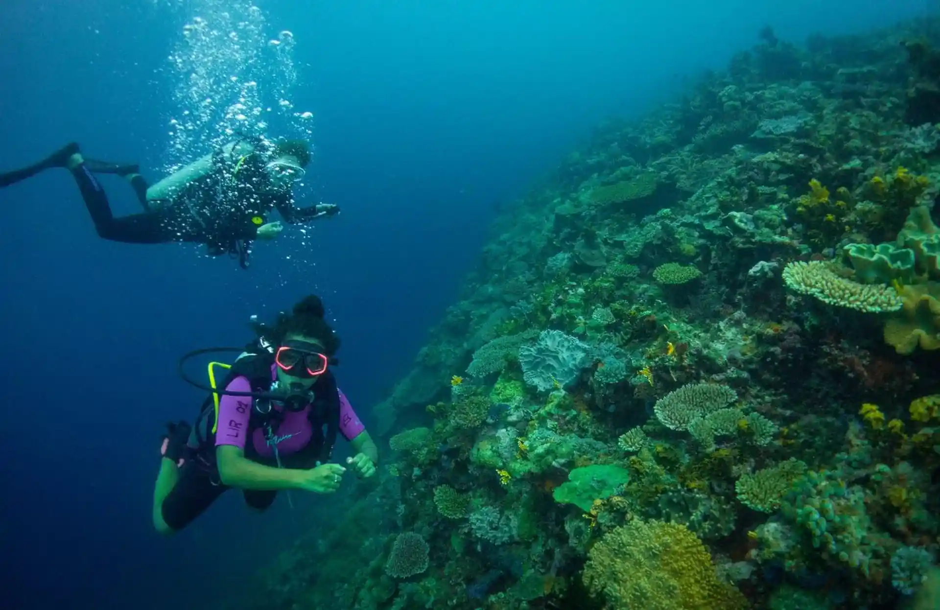 Dive shop photo