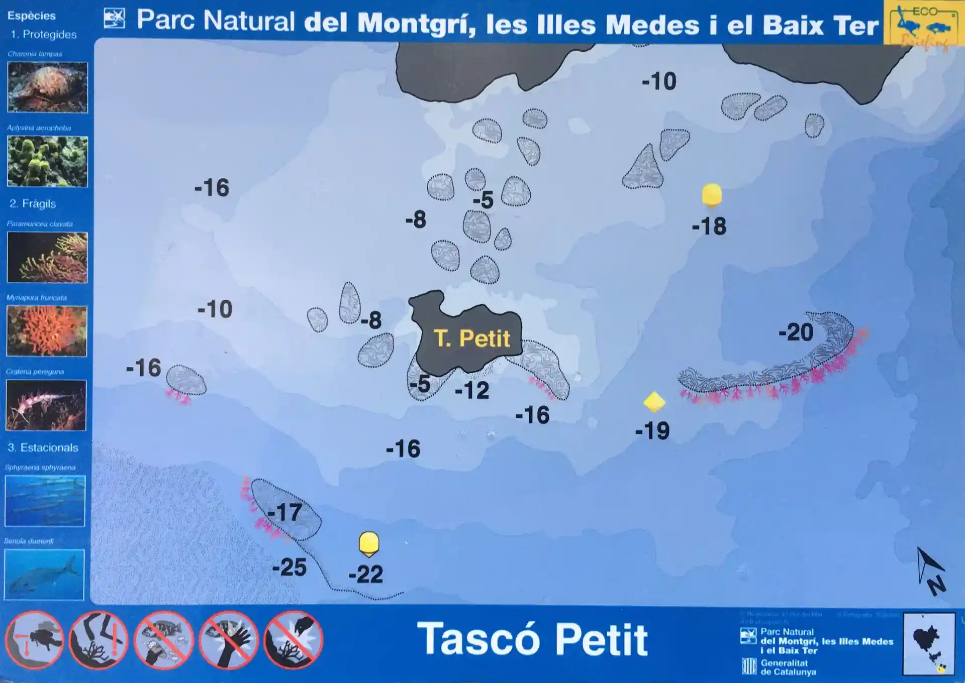 Foto del sitio de buceo