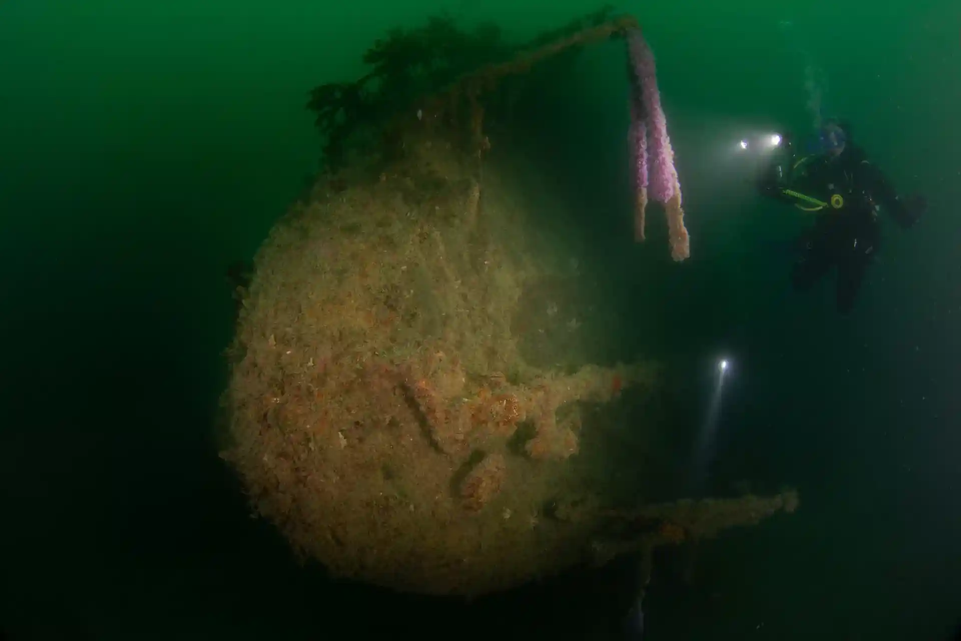 Dive site photo