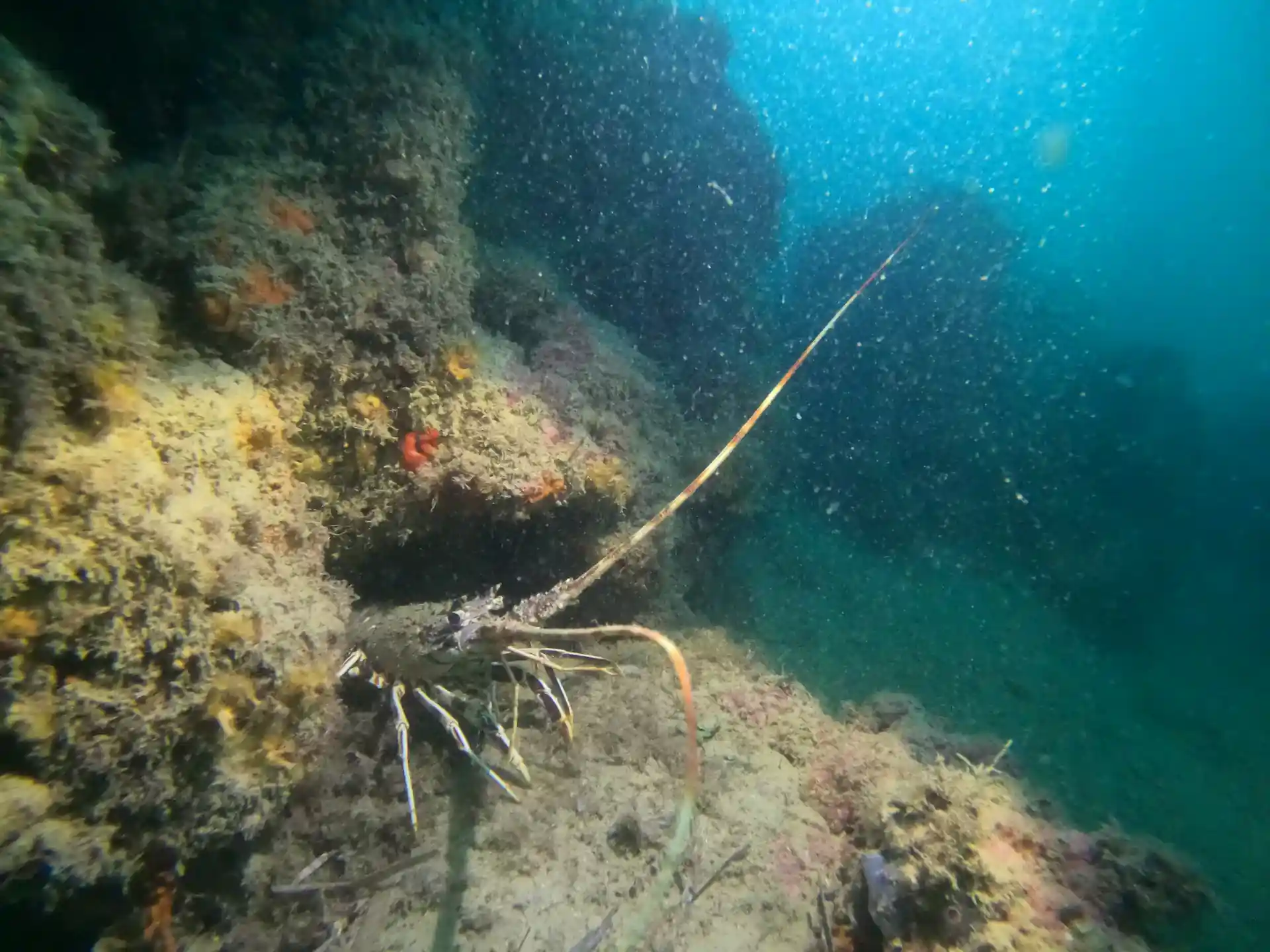 Foto des Tauchplatzes