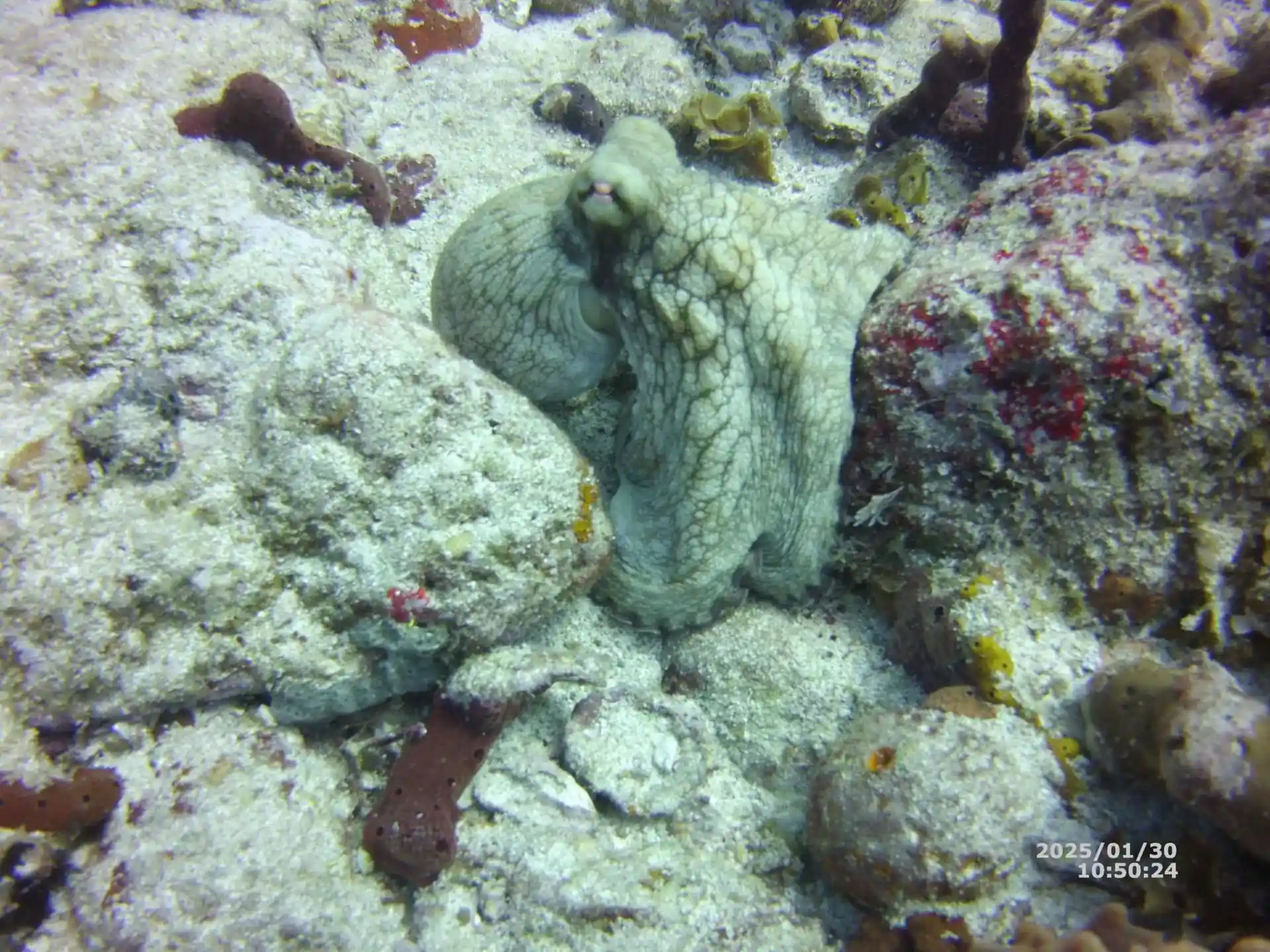 Dive site photo