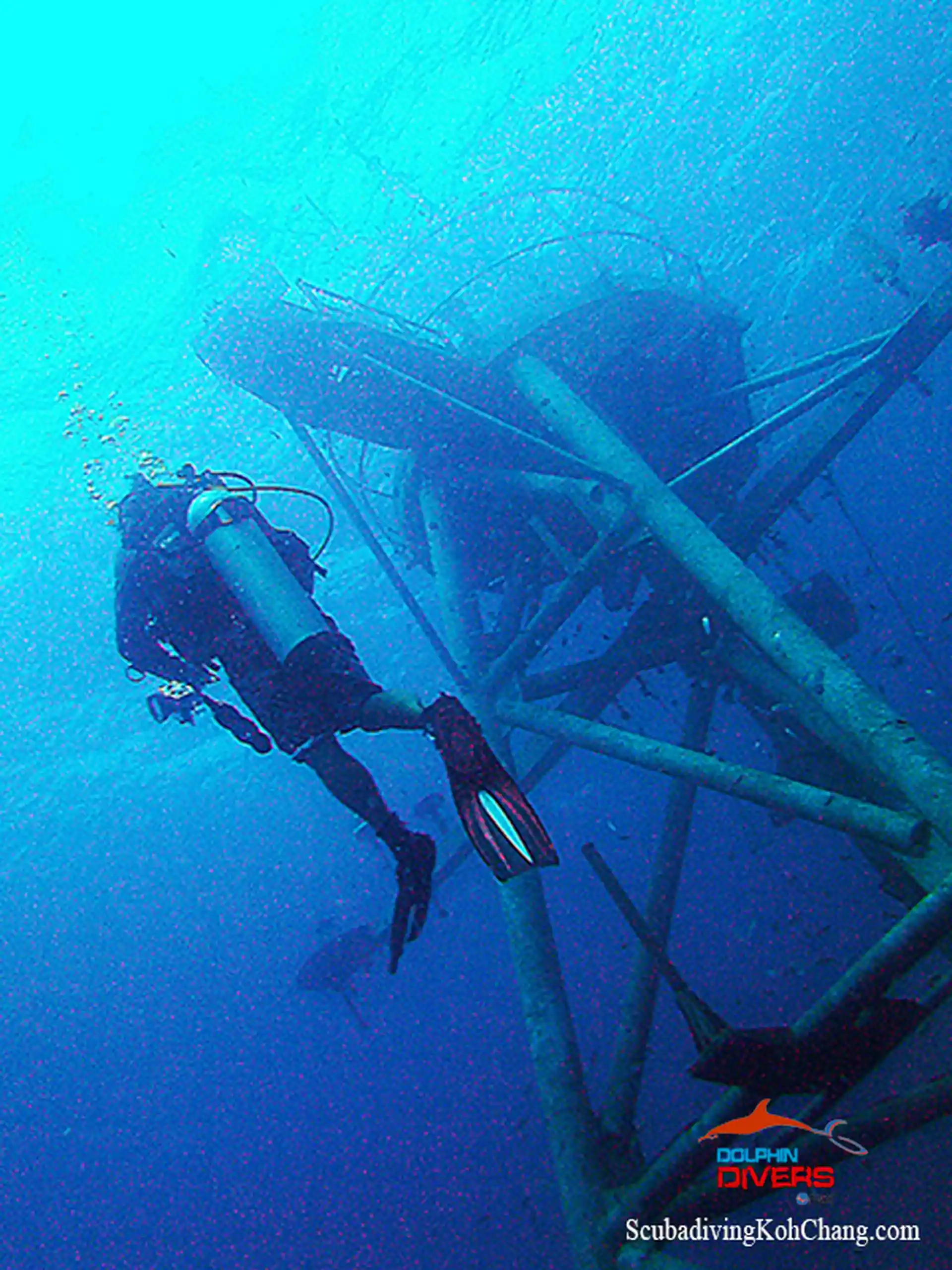 다이빙 포인트 사진