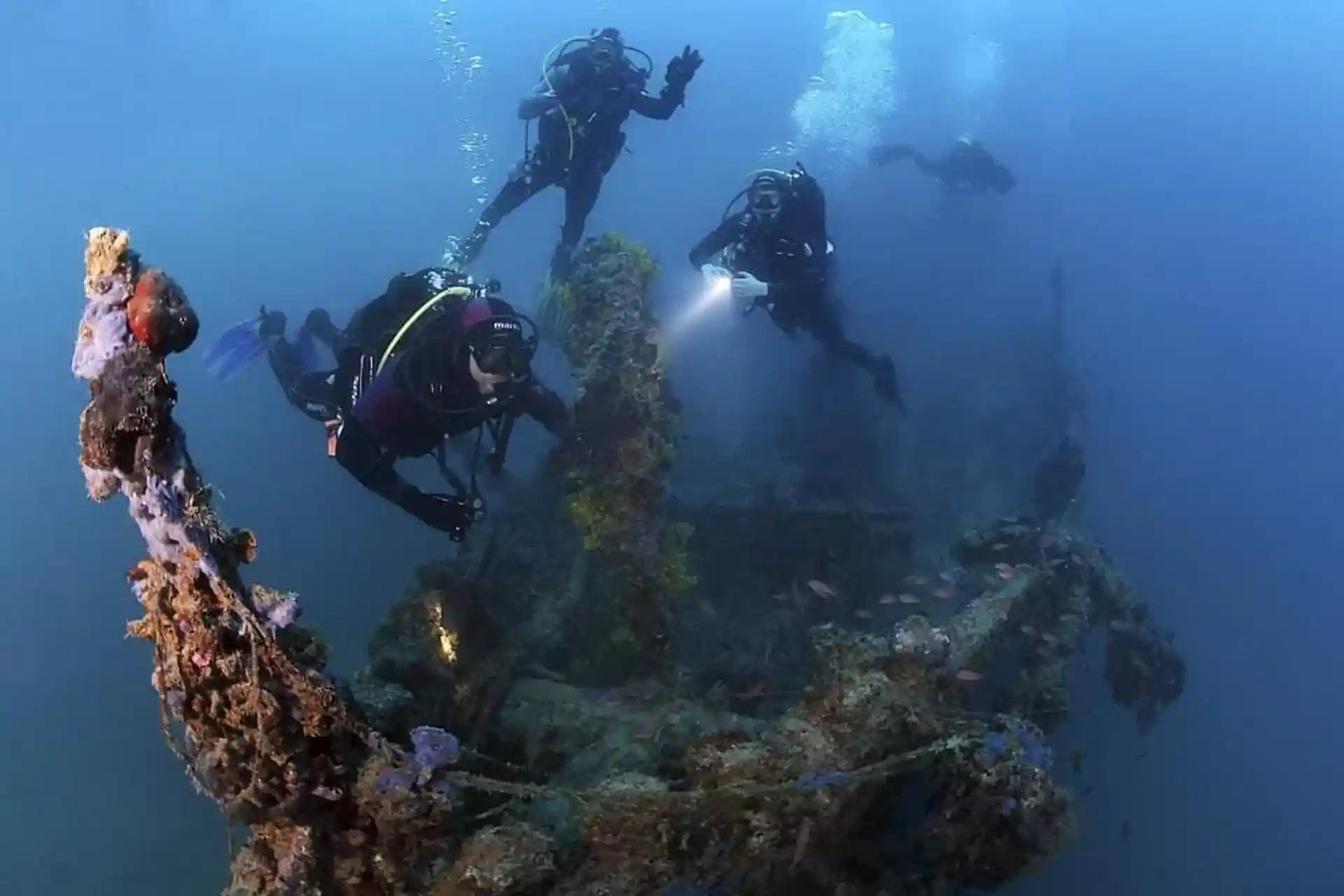 ダイビングサイトの写真