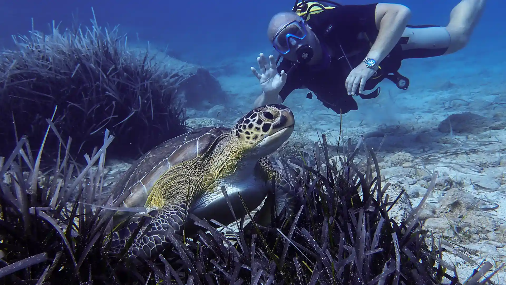 Dive site photo