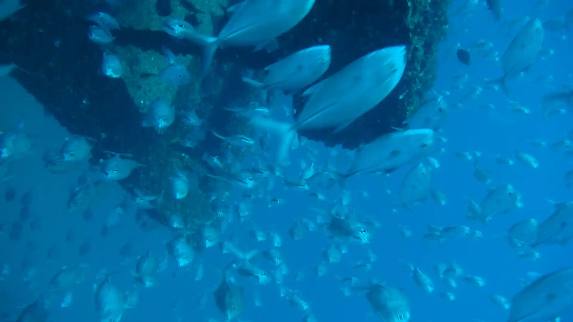 다이빙 포인트 사진