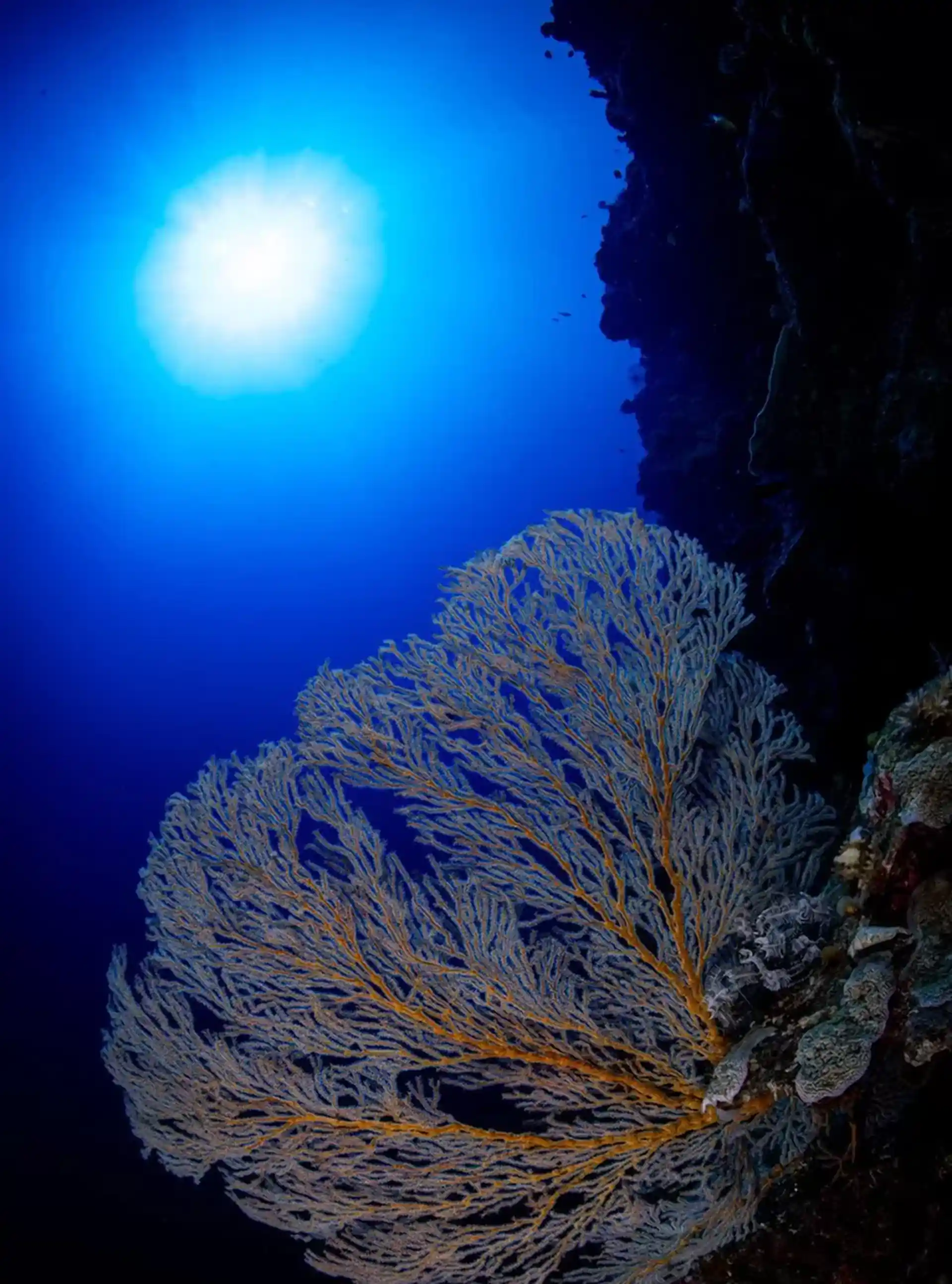 다이빙 포인트 사진