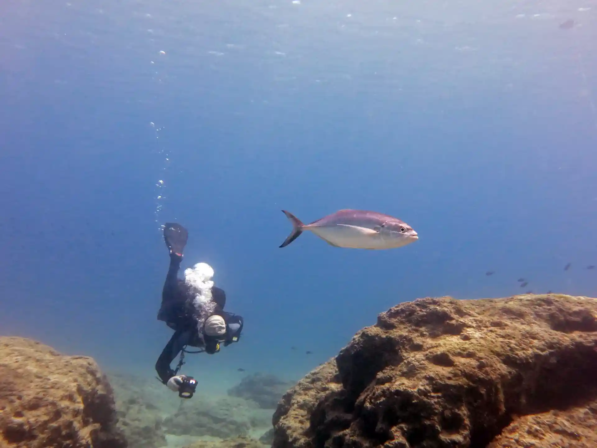 다이빙 포인트 사진