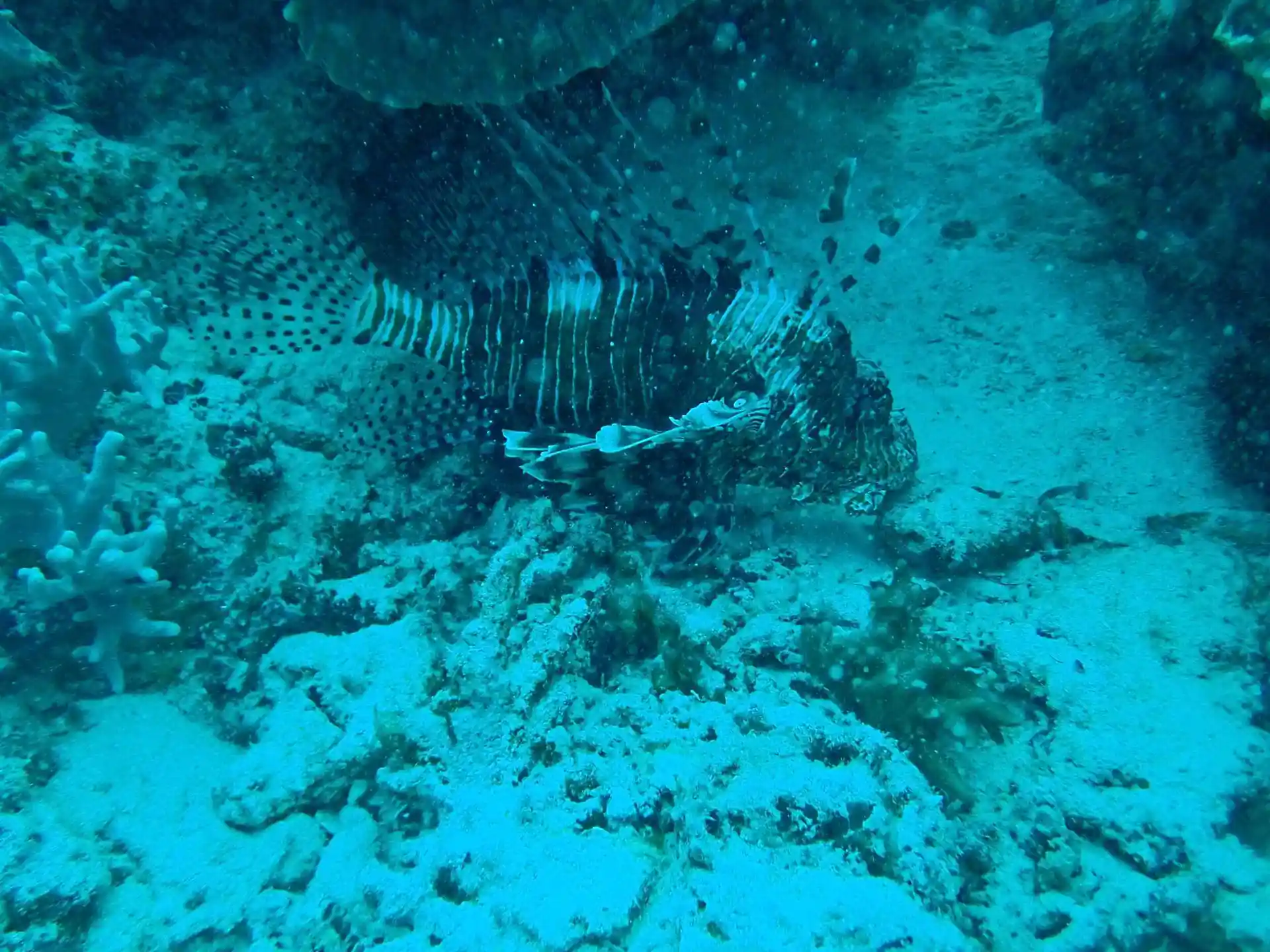 Dive shop photo