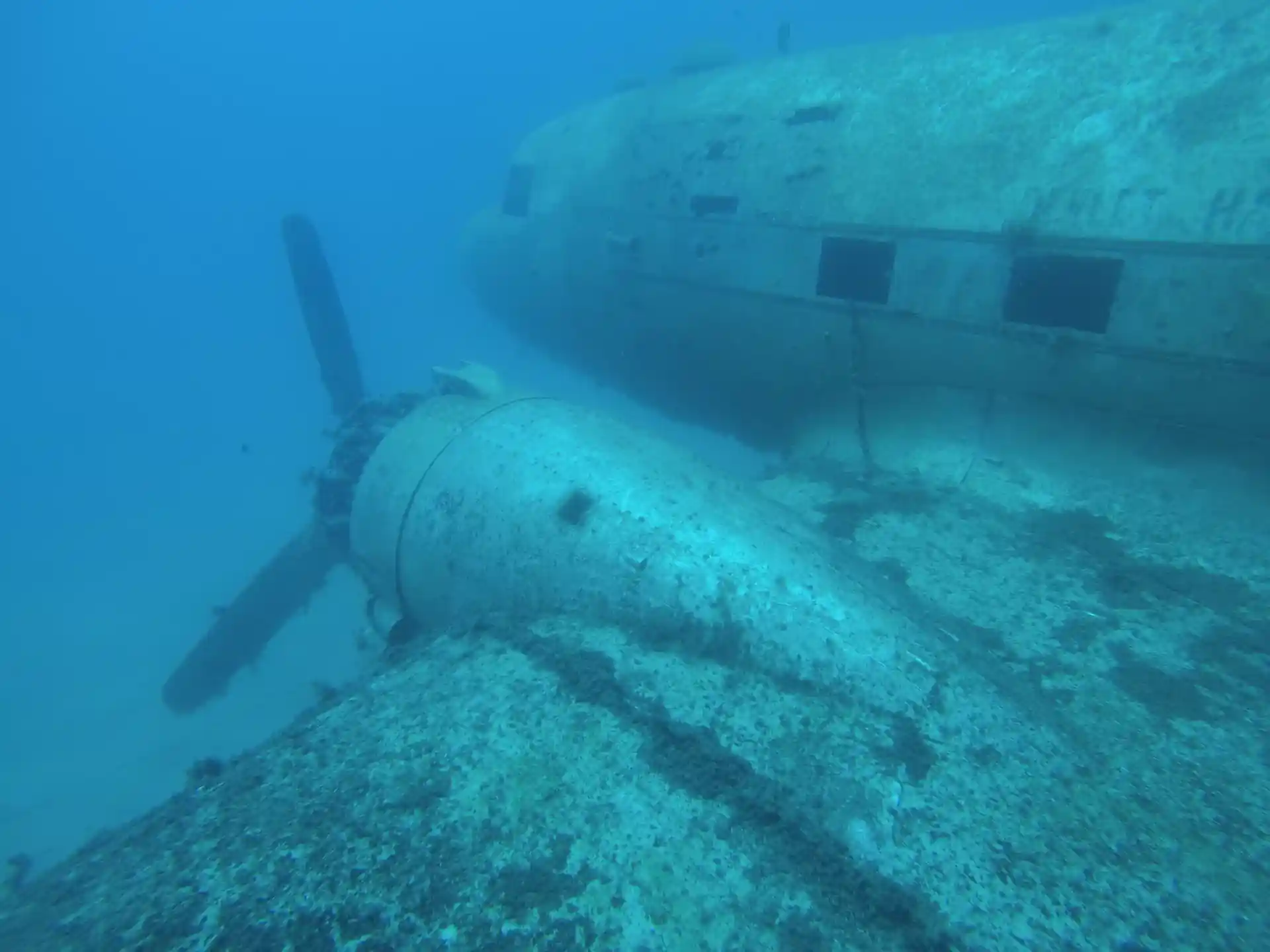 Dive shop photo