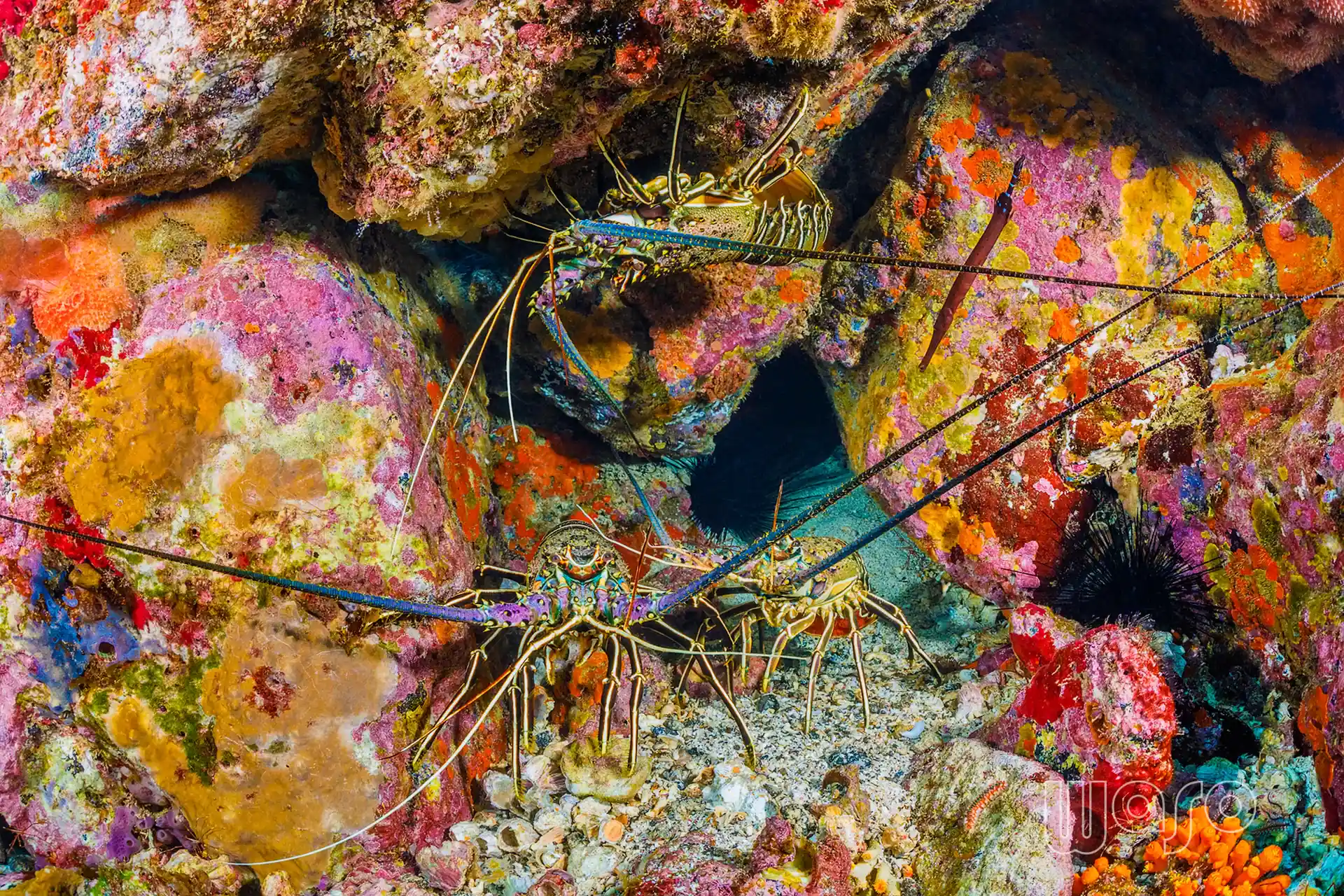 Dive site photo