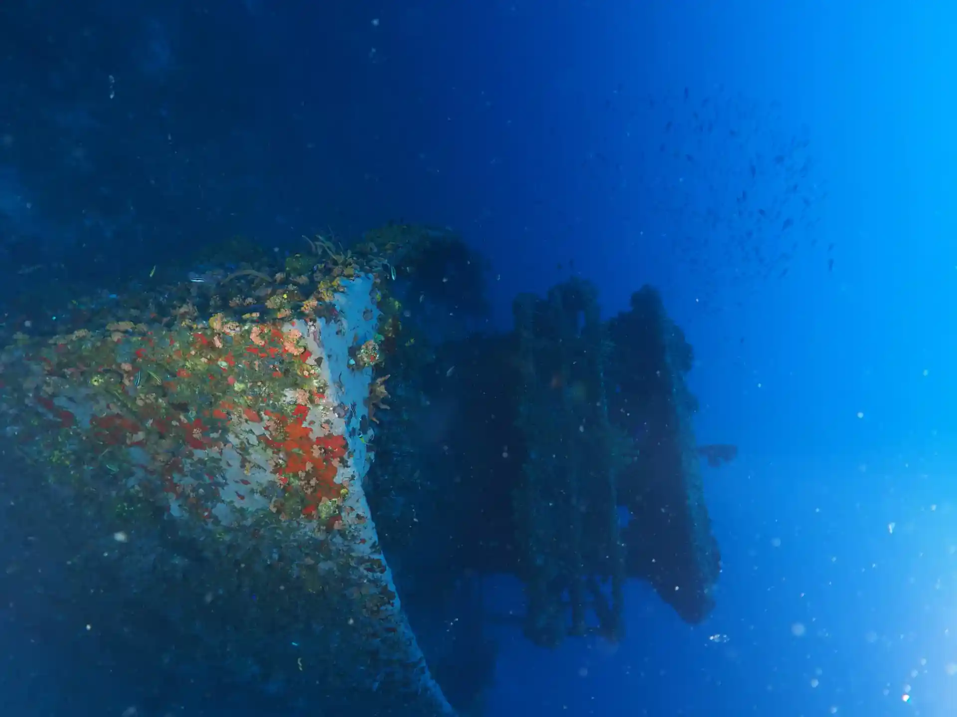 Dive site photo