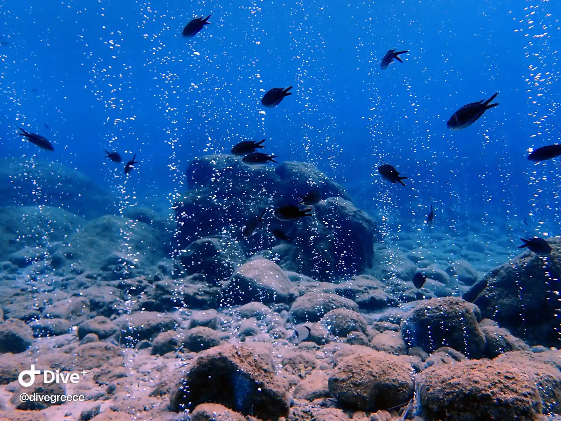 Loutra Halkidiki Greece Unique underwater scenery
