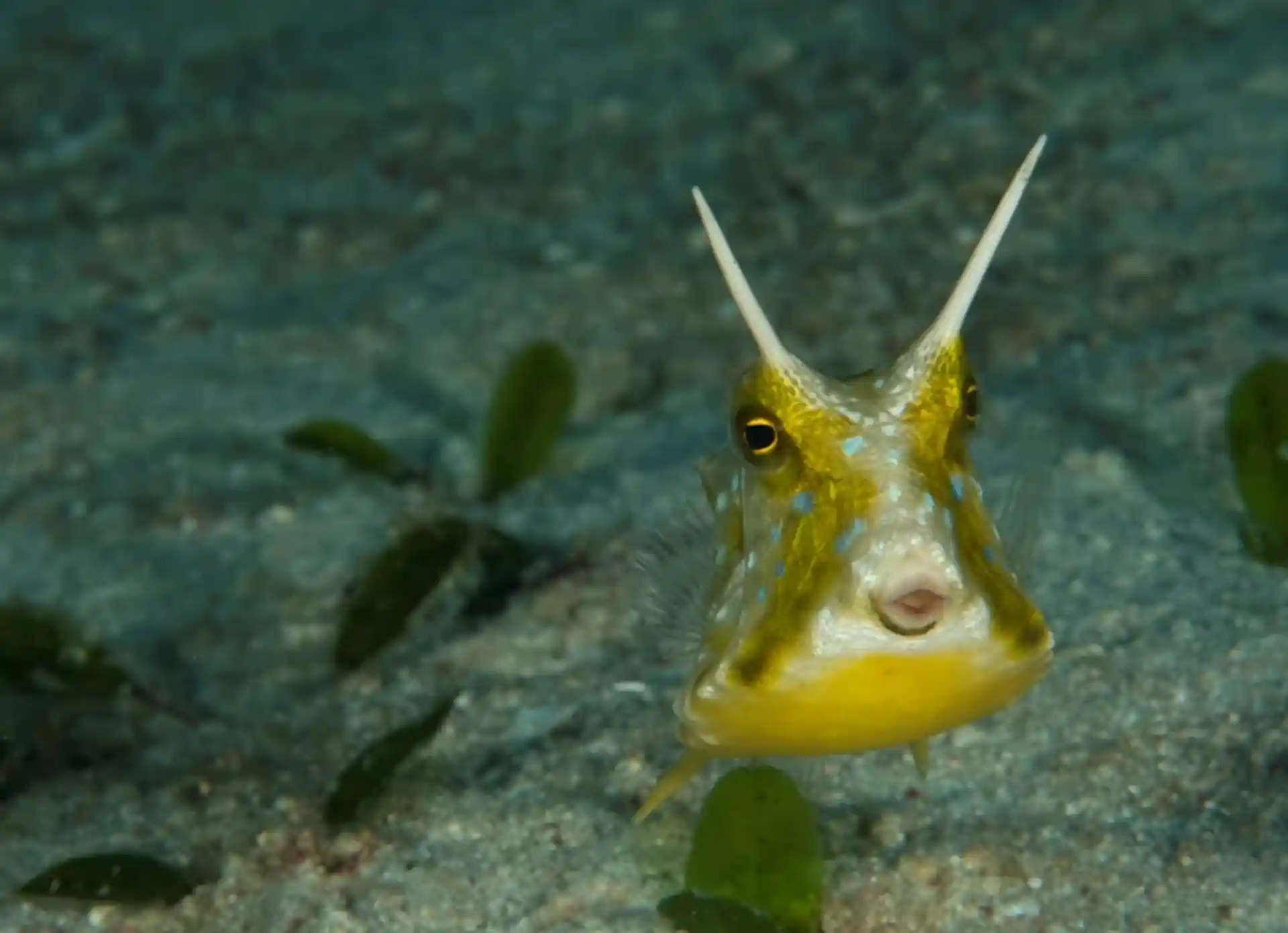 Dive site photo