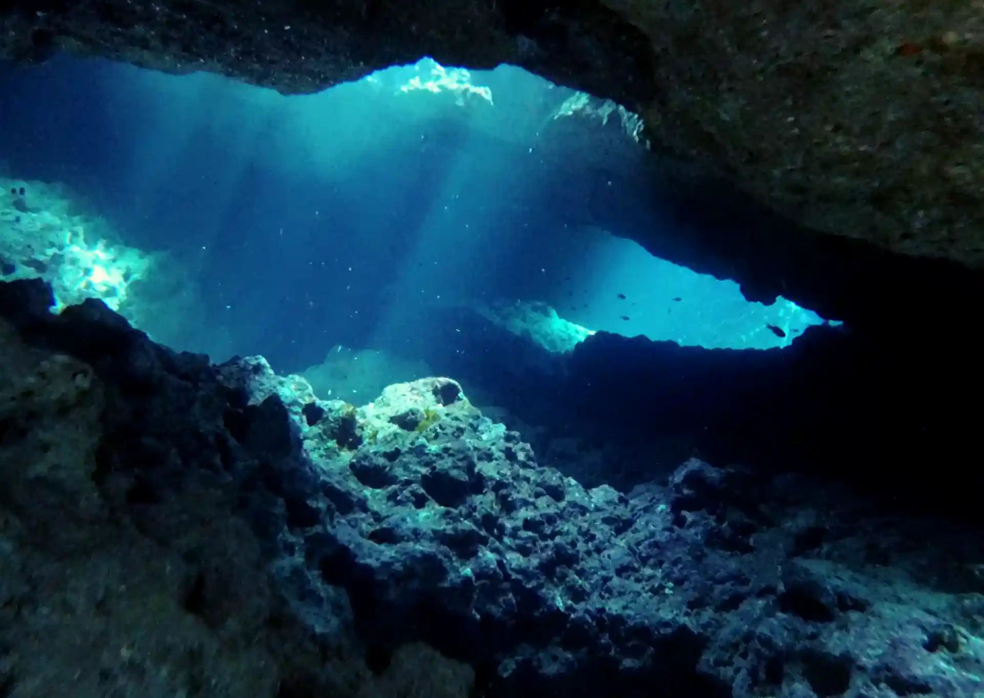 Dive site photo