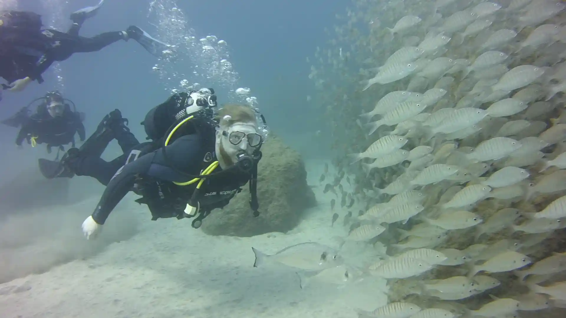 School of fish in Playa las Vistas