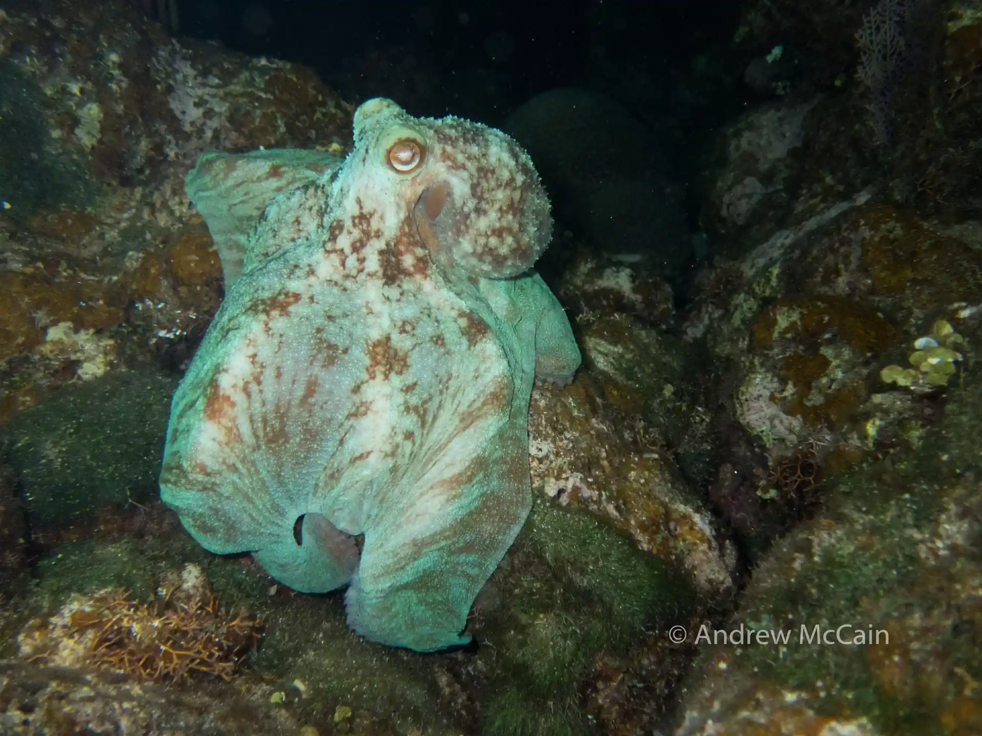 One of our favorites.