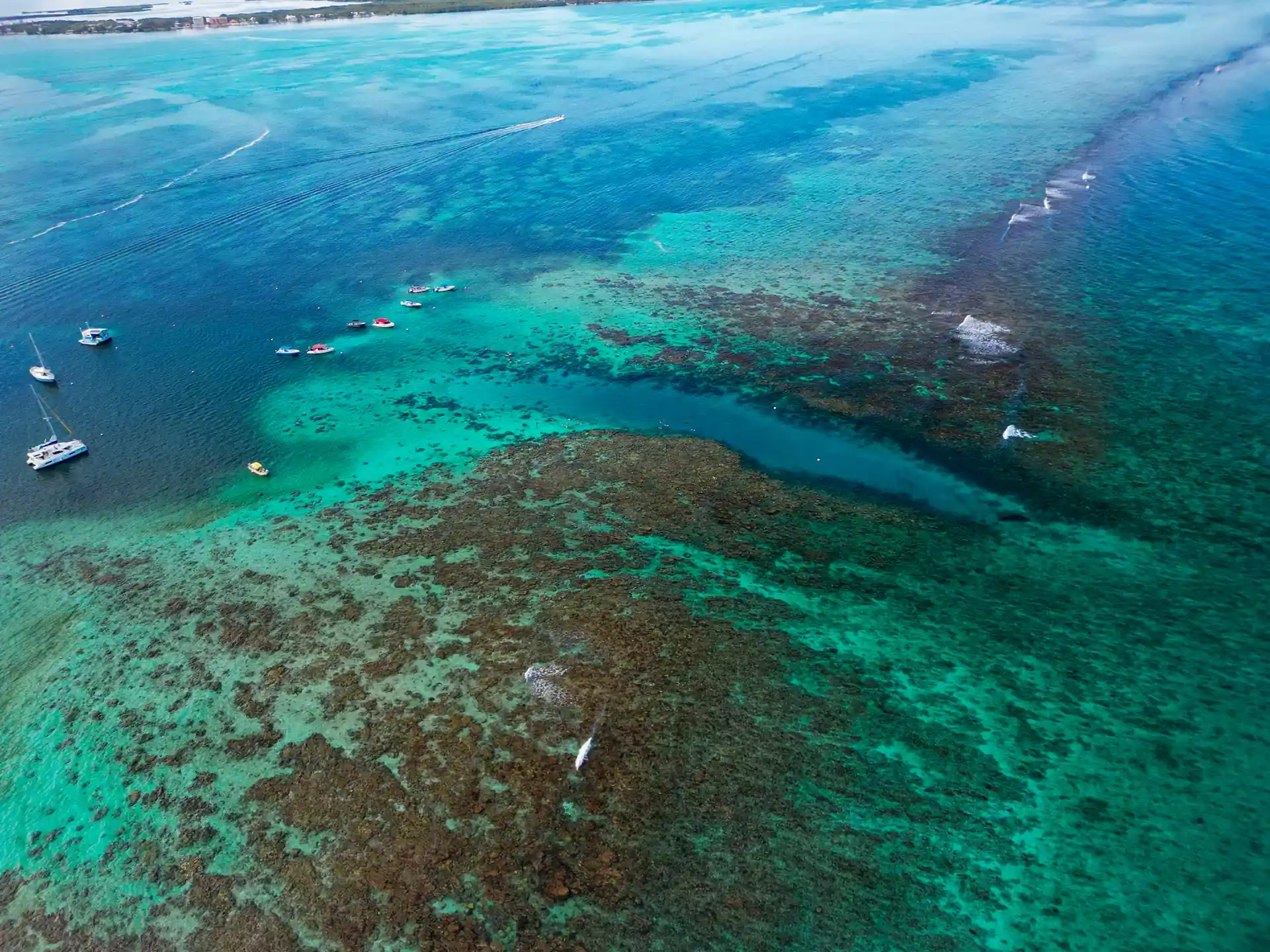 Hol Chan is the first reserve of it's kind established in Belize in 1987. This reserve is home to many species of fish, turtles, rays and much more. Hol Chan is a great area for the entire family.