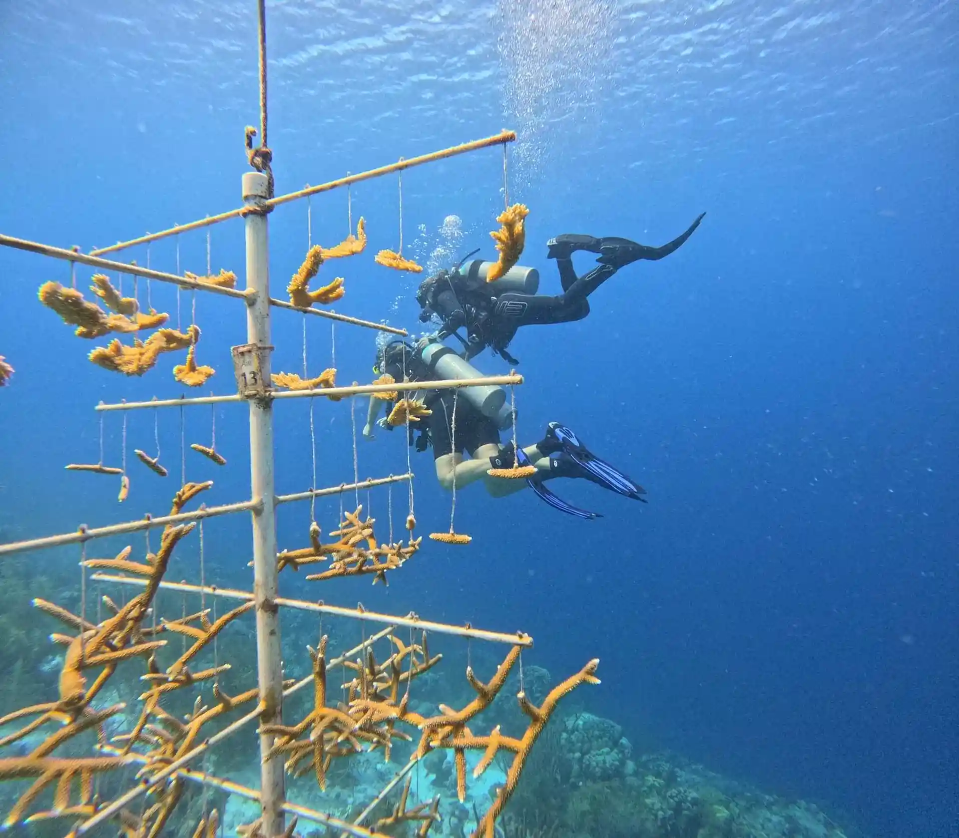 다이빙 포인트 사진