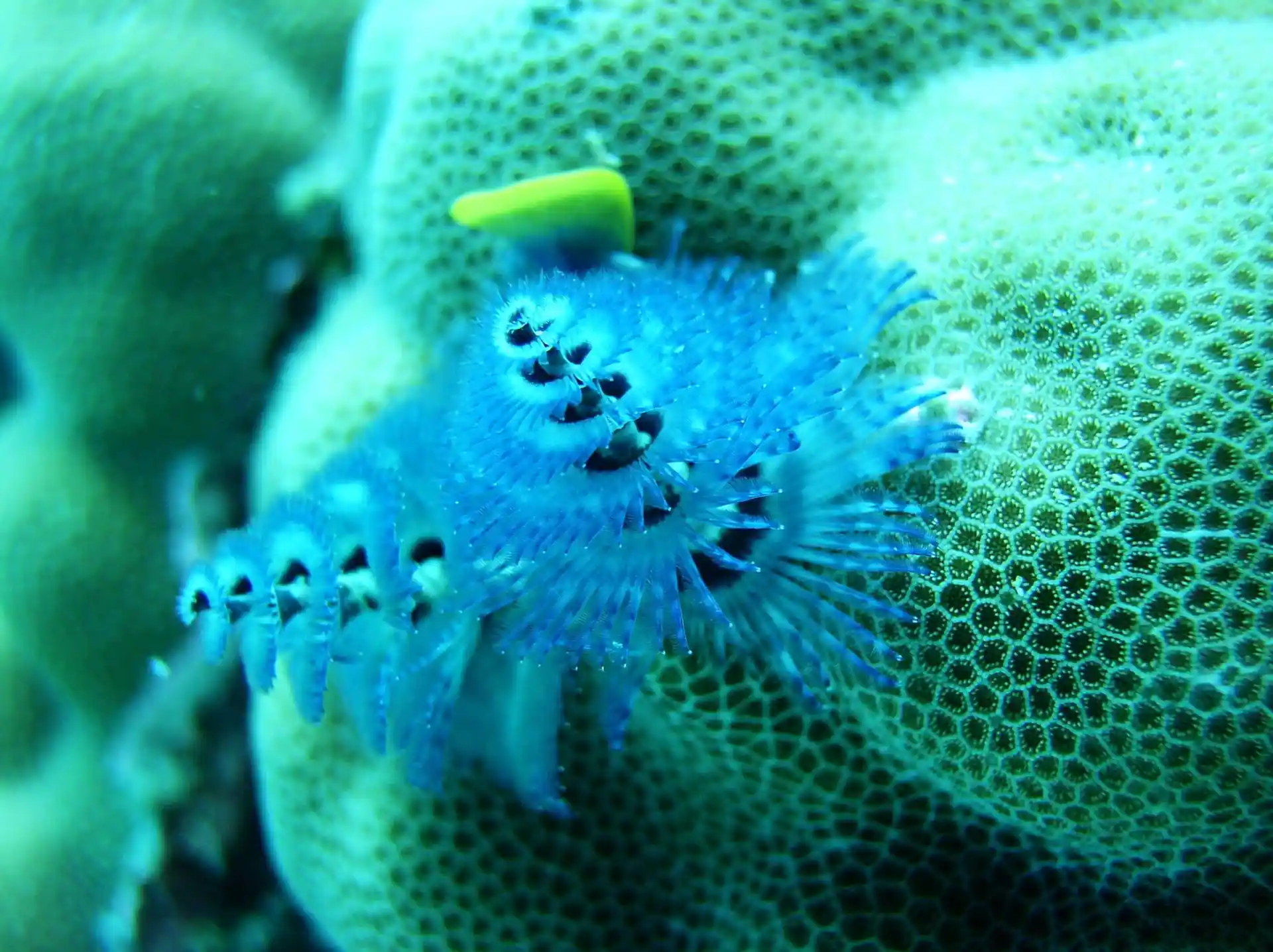 Dive shop photo