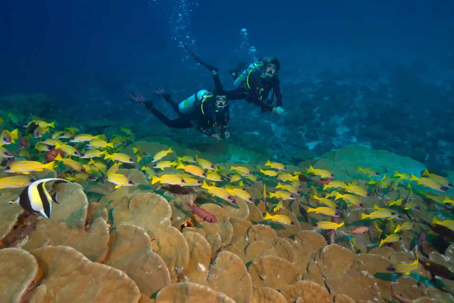 Foto de la tienda de buceo